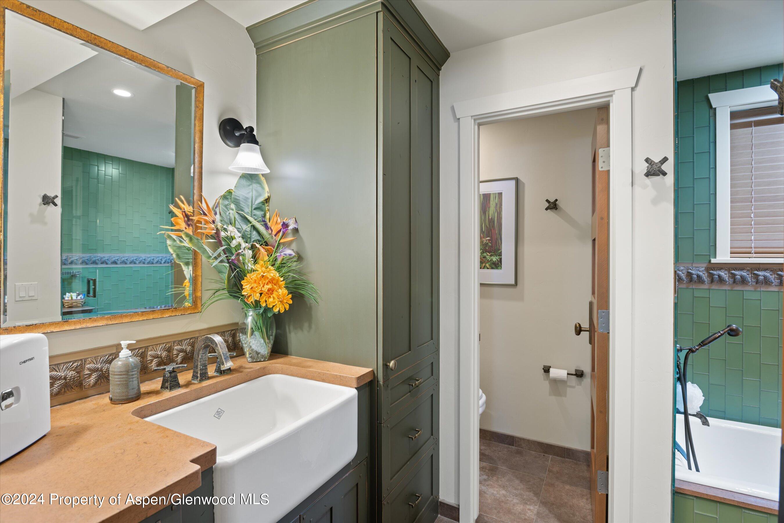 389 Elk Mountain Drive Redstone CO 81623