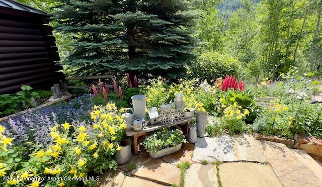 389 Elk Mountain Drive Redstone CO 81623