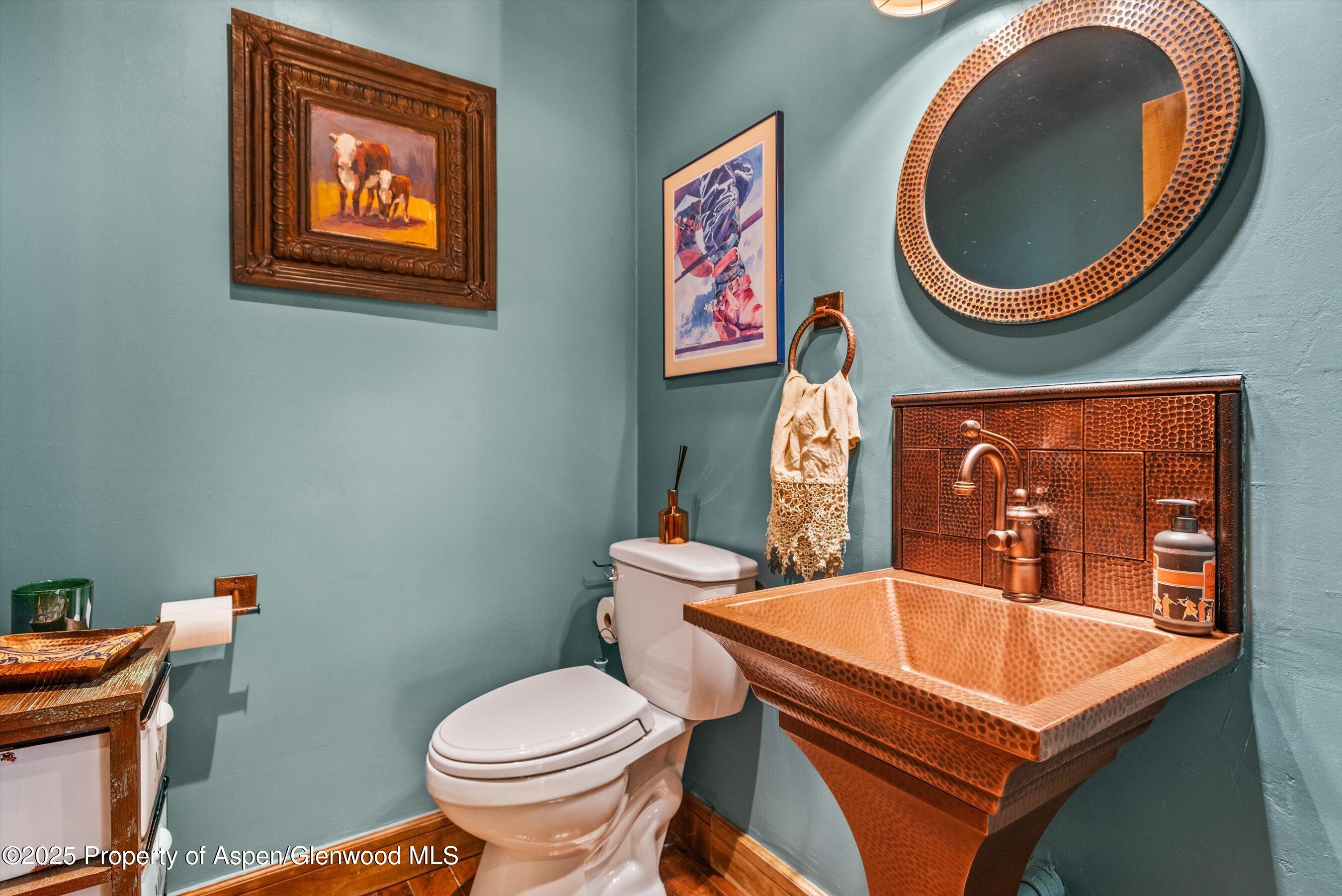 625 Brookie Carbondale CO 81623