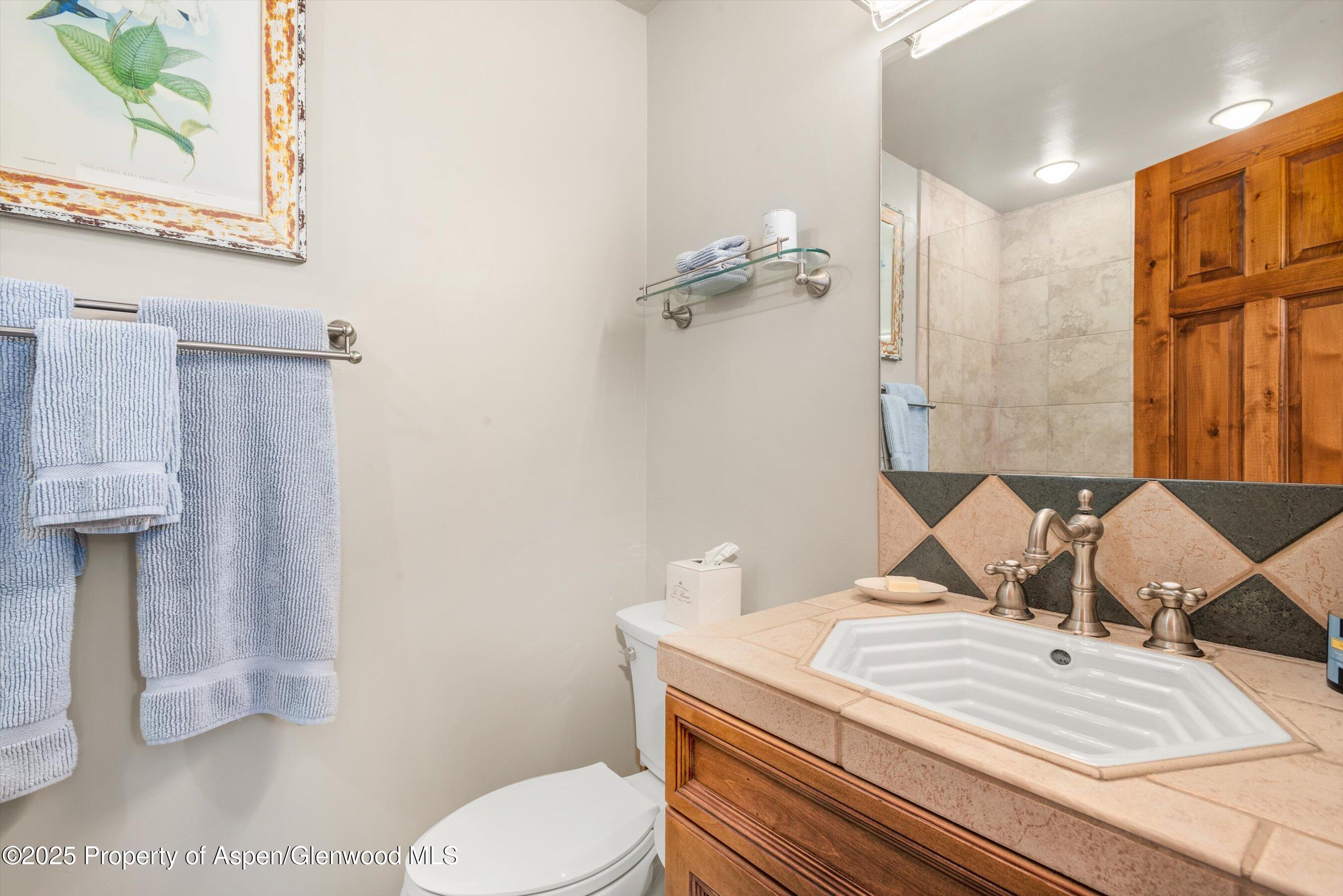 625 Brookie Carbondale CO 81623