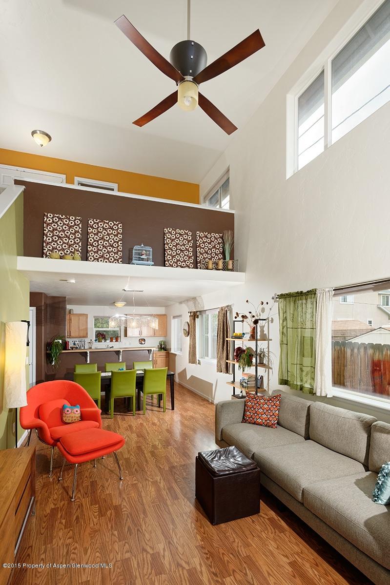 313 Cleveland Place Carbondale CO 81623