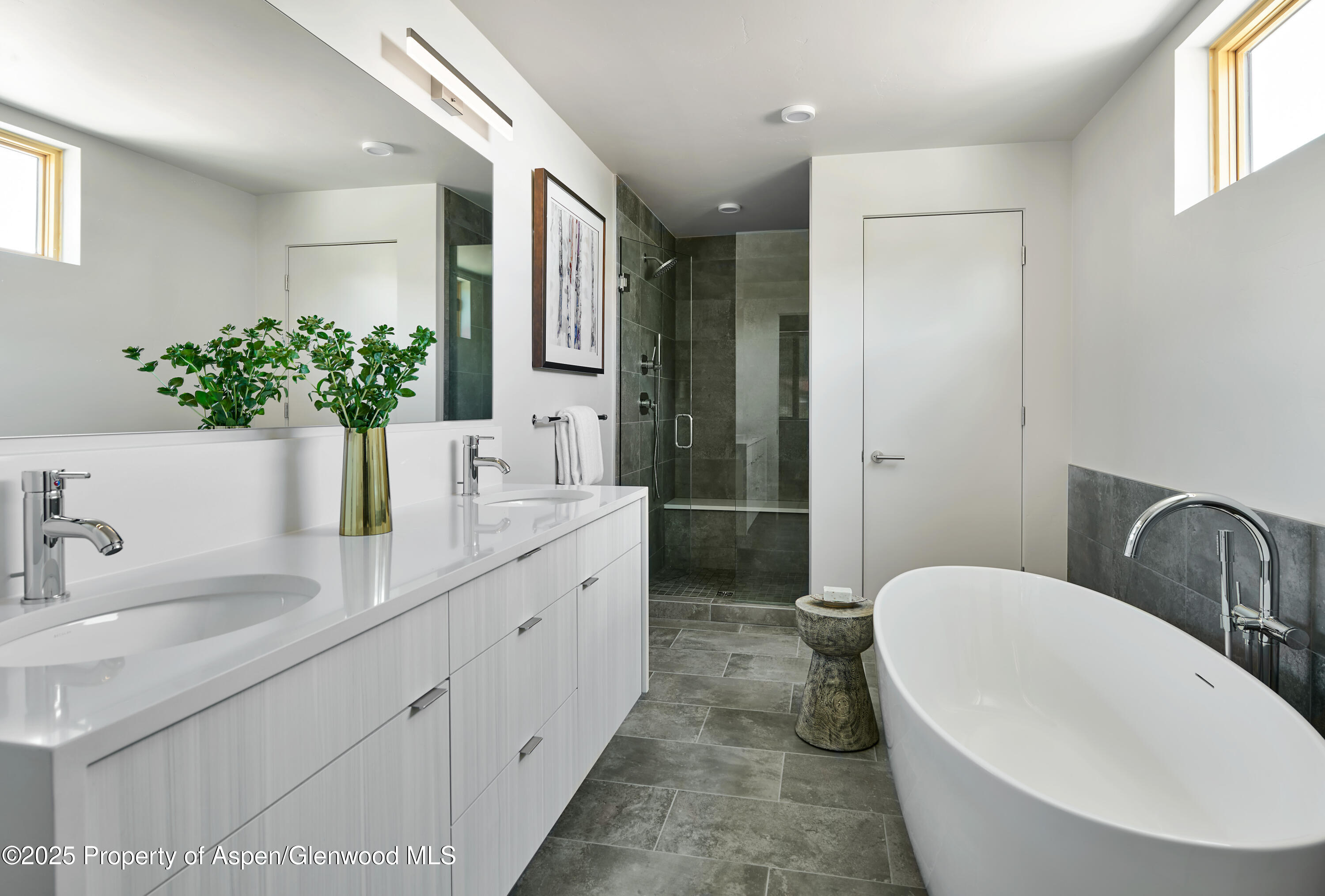 129 Valley Court Basalt CO 81621