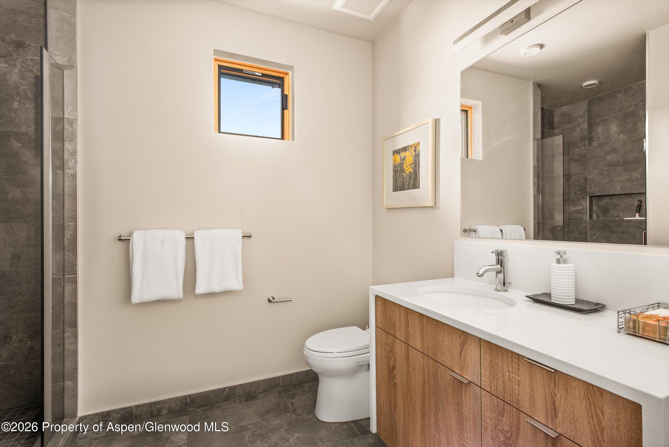 129 Valley Court Basalt CO 81621