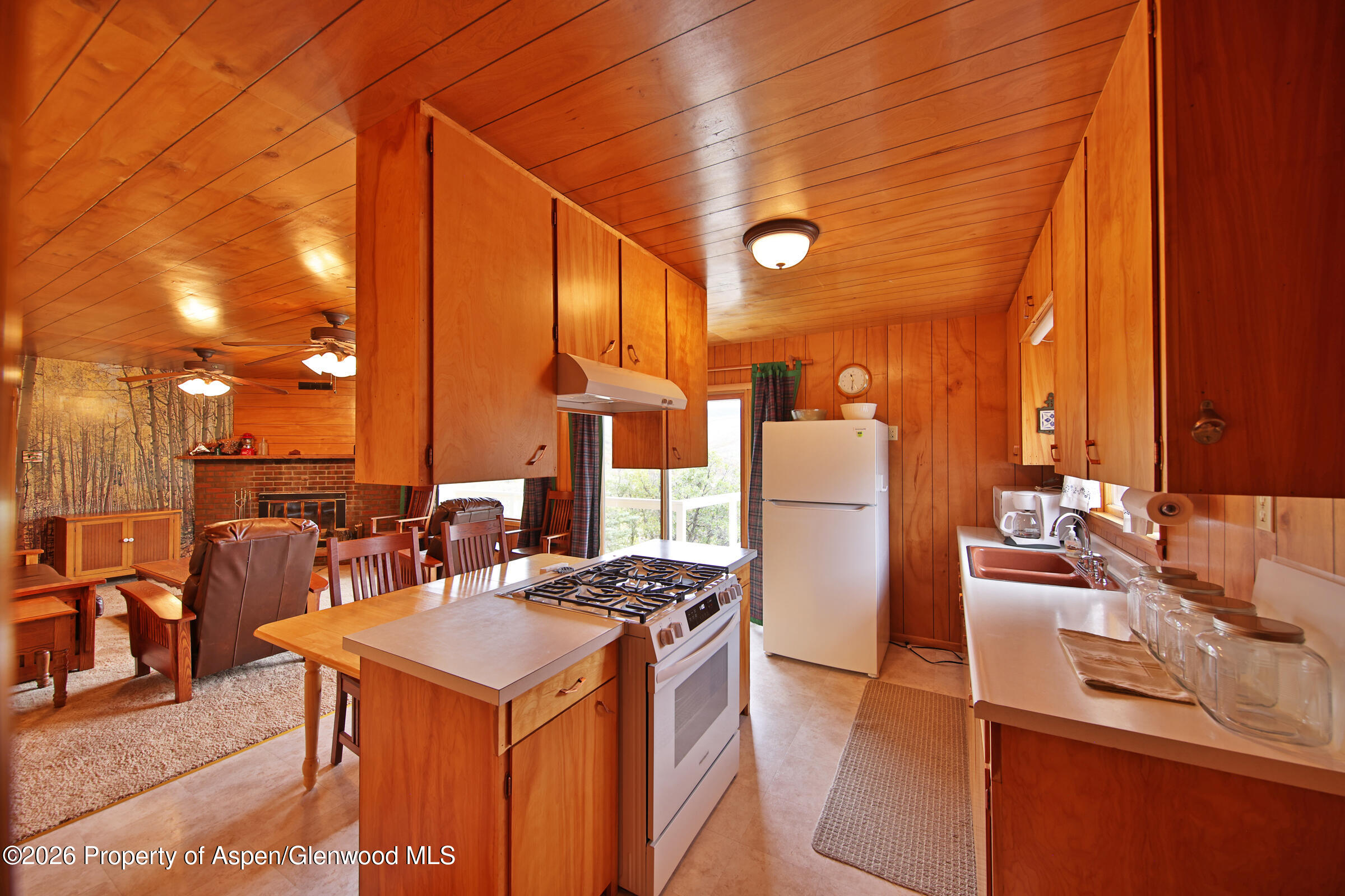 67649 Vega Vista Drive Collbran CO 81624