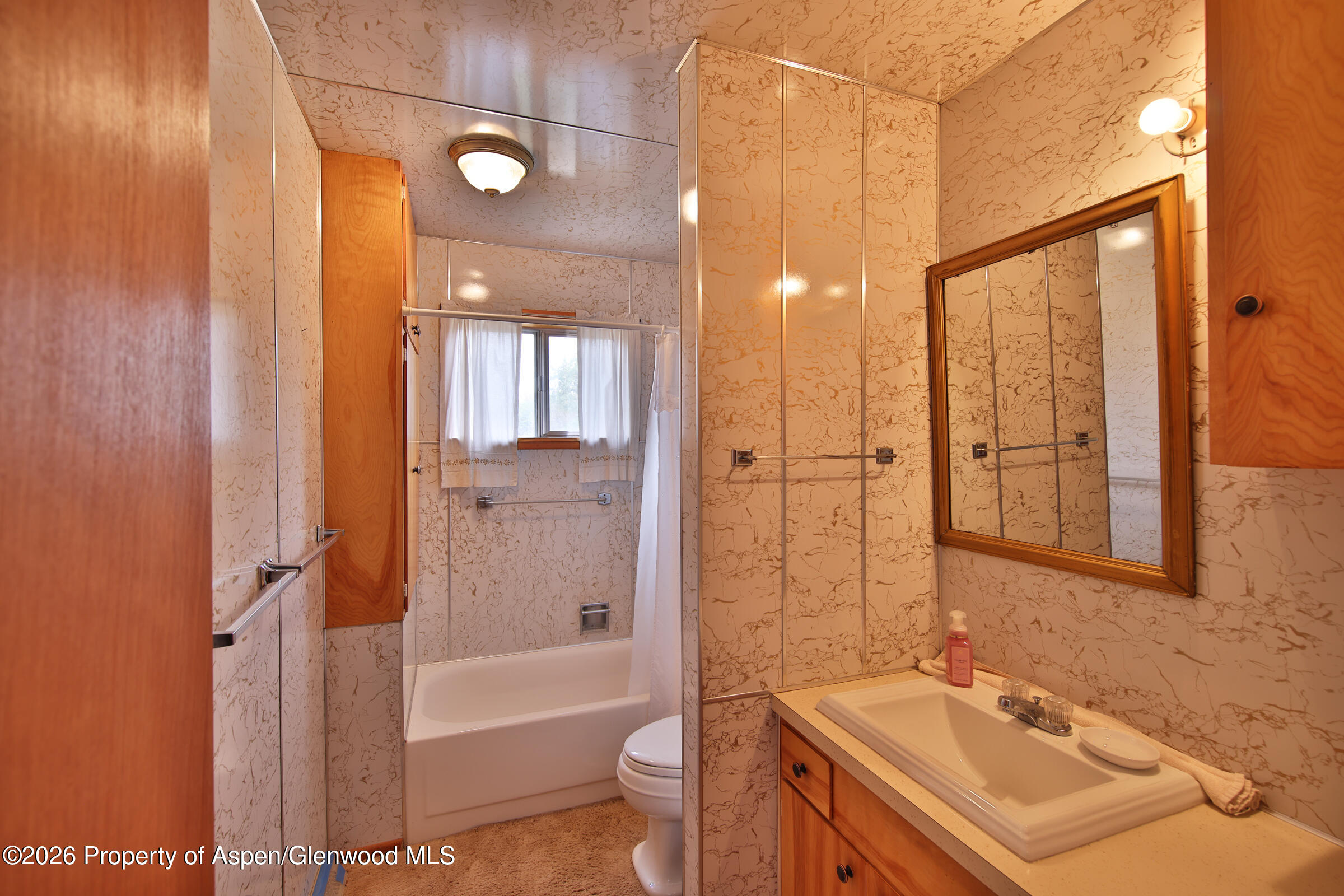 67649 Vega Vista Drive Collbran CO 81624