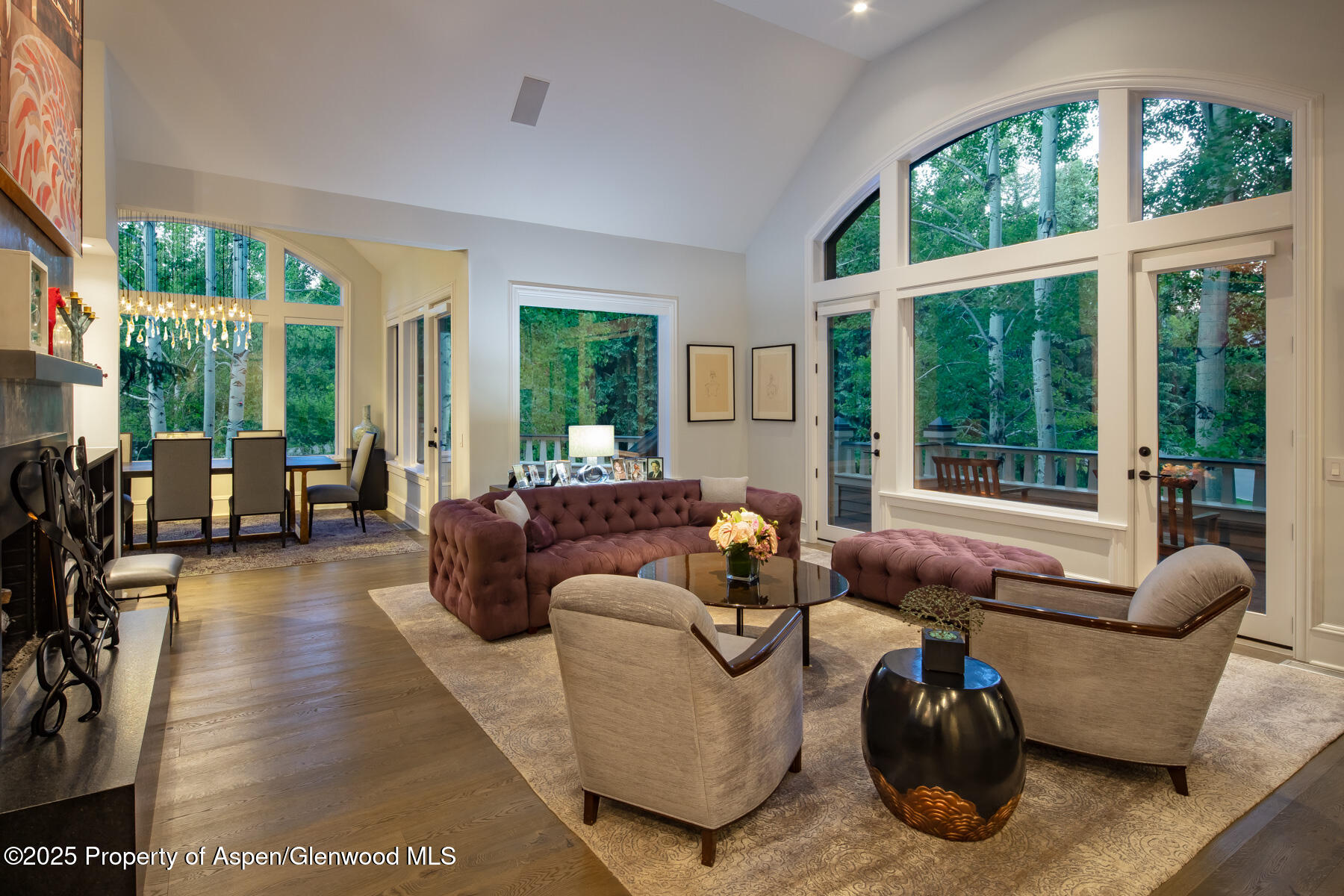 205 N 6th Street Aspen CO 81611