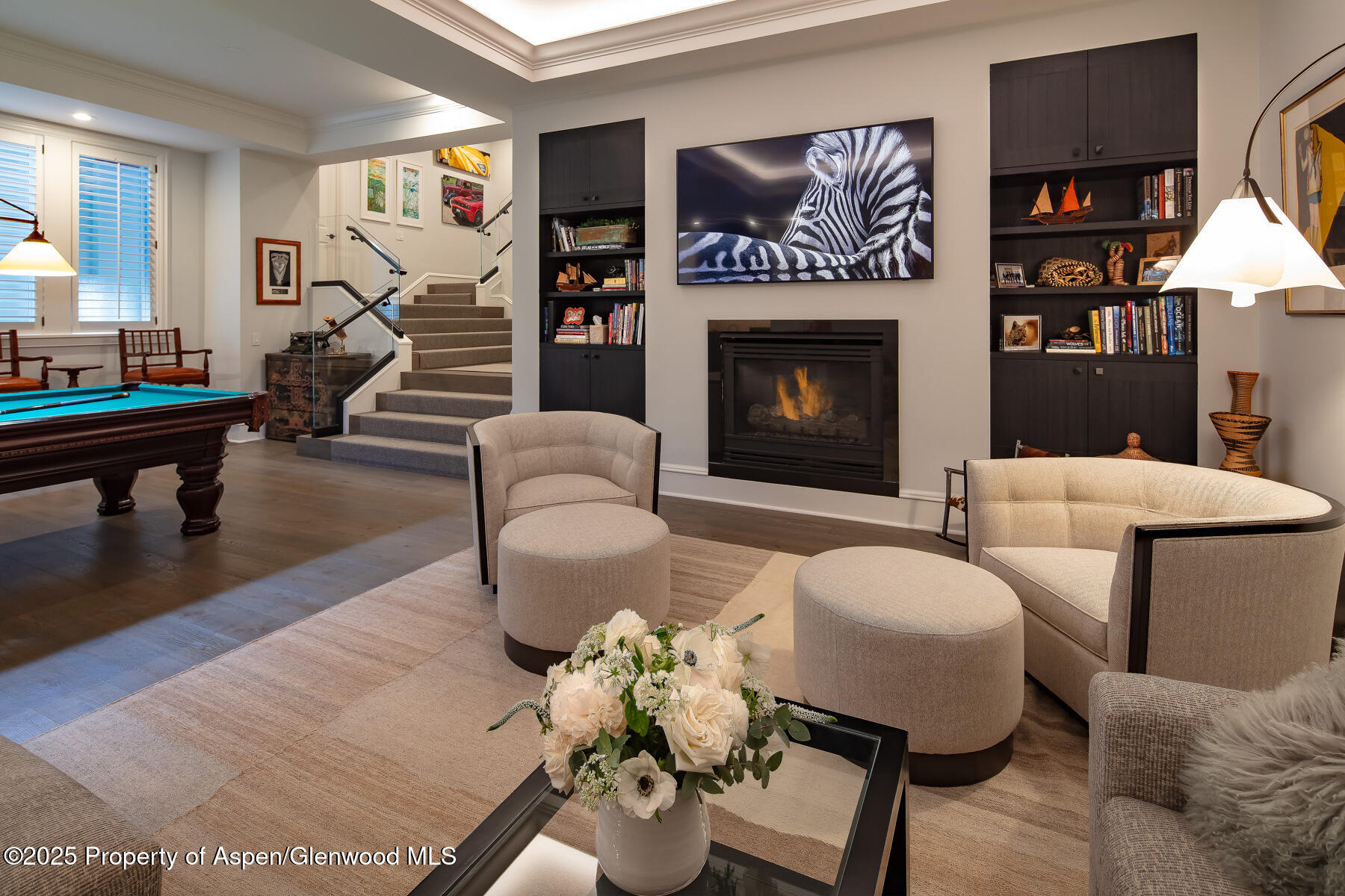 205 N 6th Street Aspen CO 81611