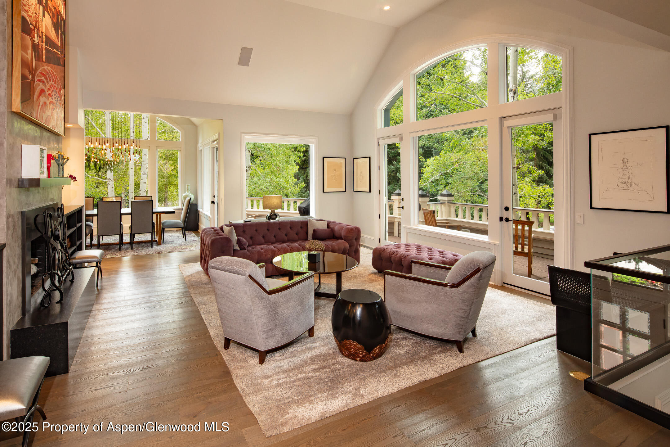 205 N 6th Street Aspen CO 81611