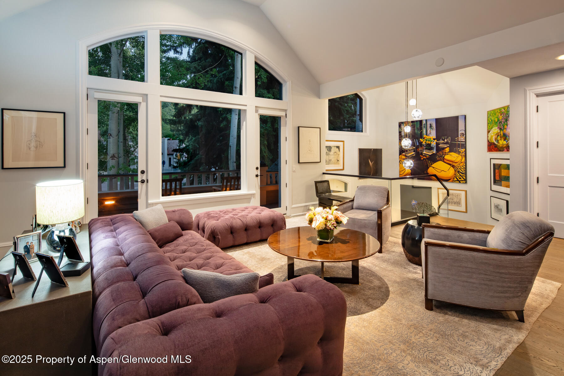 205 N 6th Street Aspen CO 81611