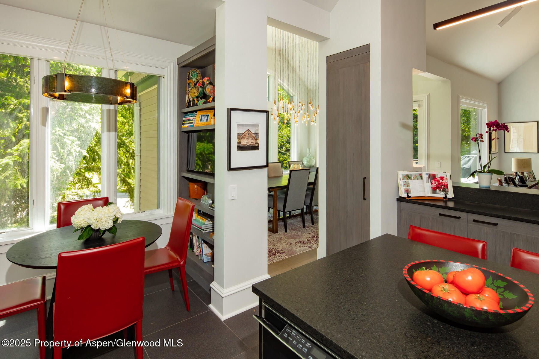 205 N 6th Street Aspen CO 81611