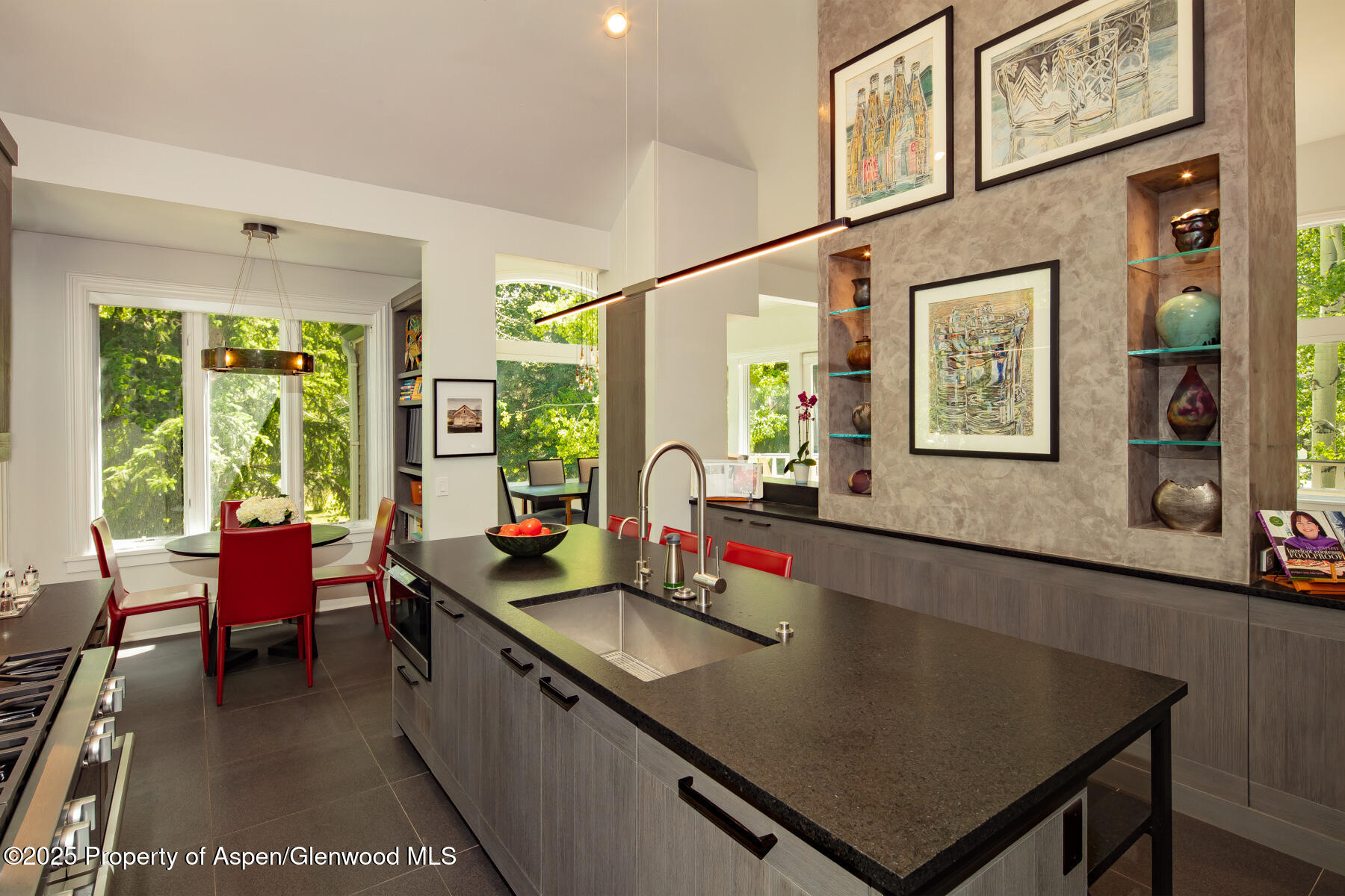 205 N 6th Street Aspen CO 81611