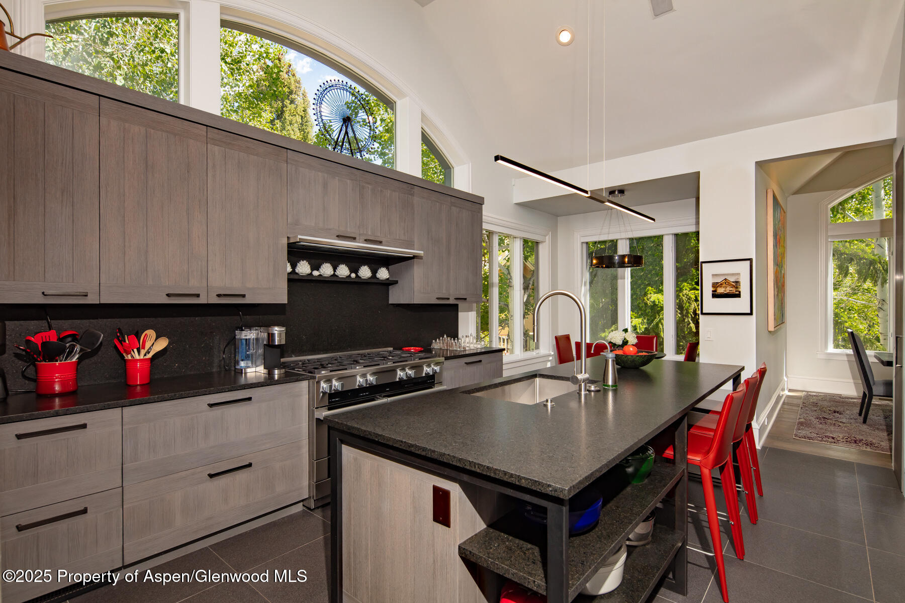 205 N 6th Street Aspen CO 81611