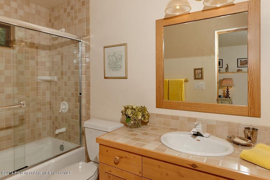 169 Branding Lane Snowmass Village CO 81615