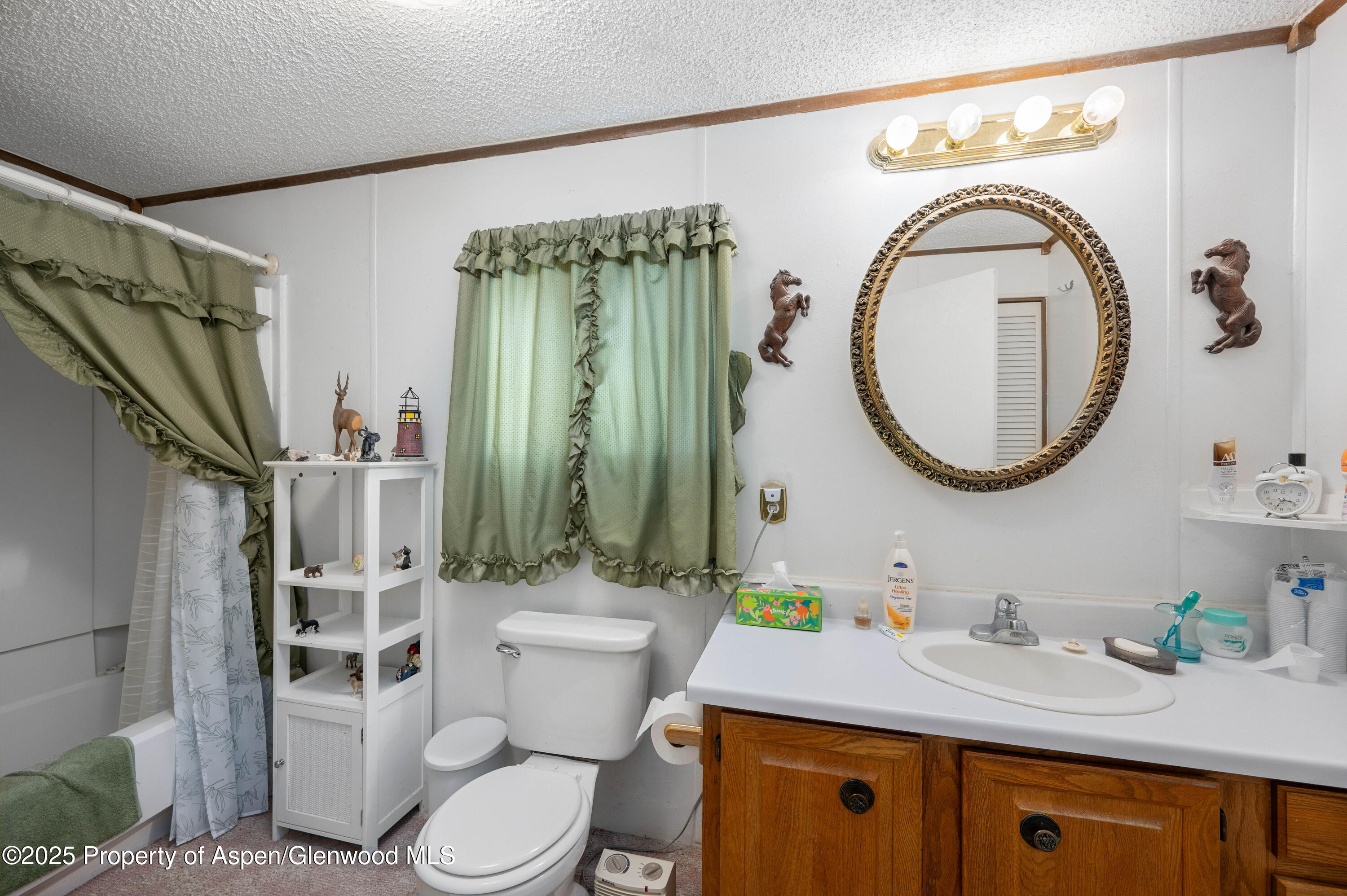 45 W Tamarack Circle Parachute CO 81635