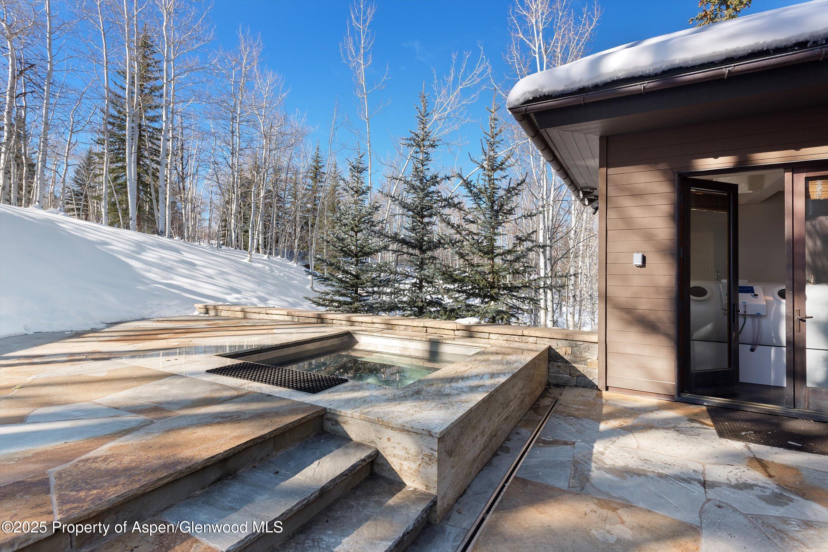 300 Eagle Pines Drive Aspen CO 81611
