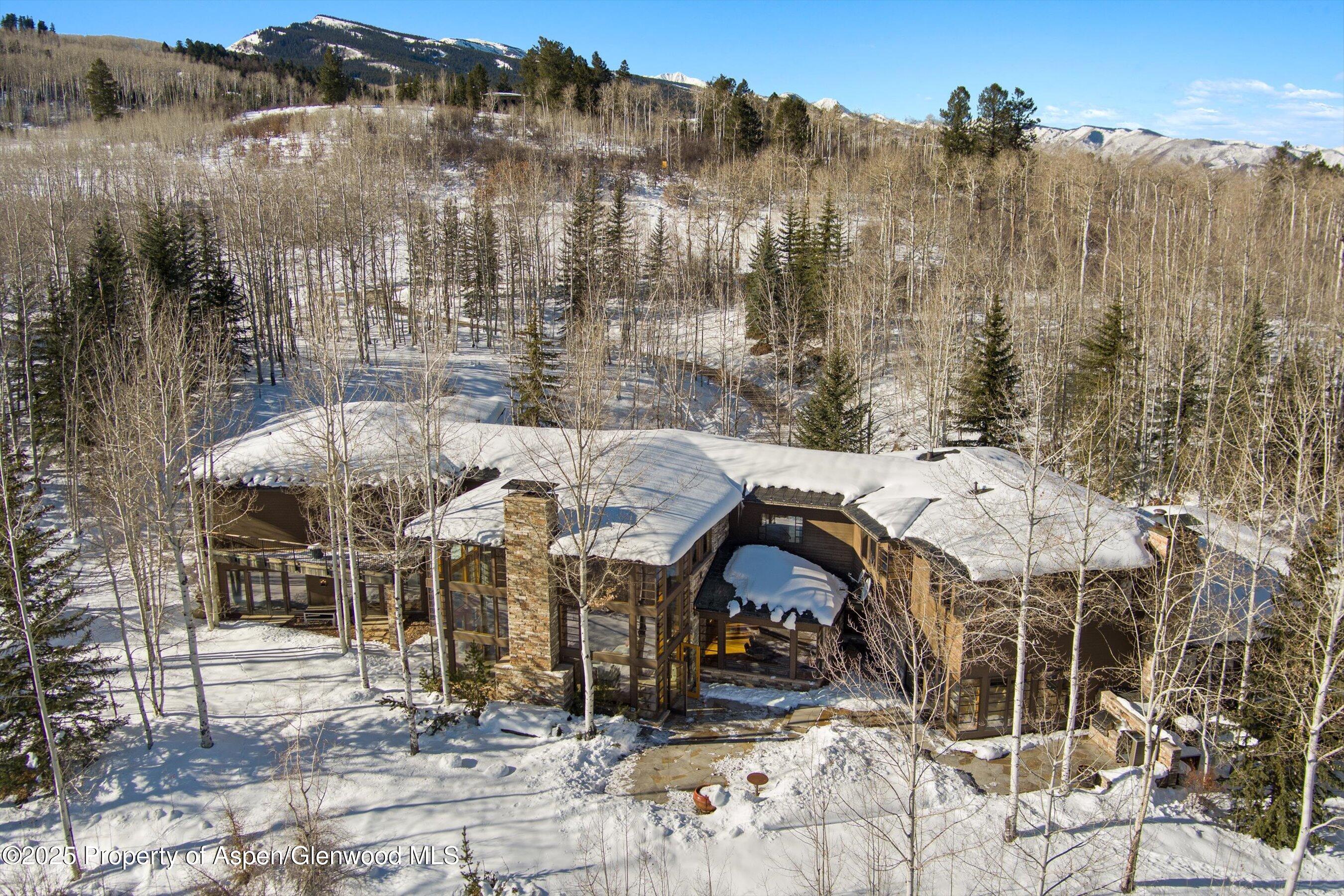 300 Eagle Pines Drive Aspen CO 81611