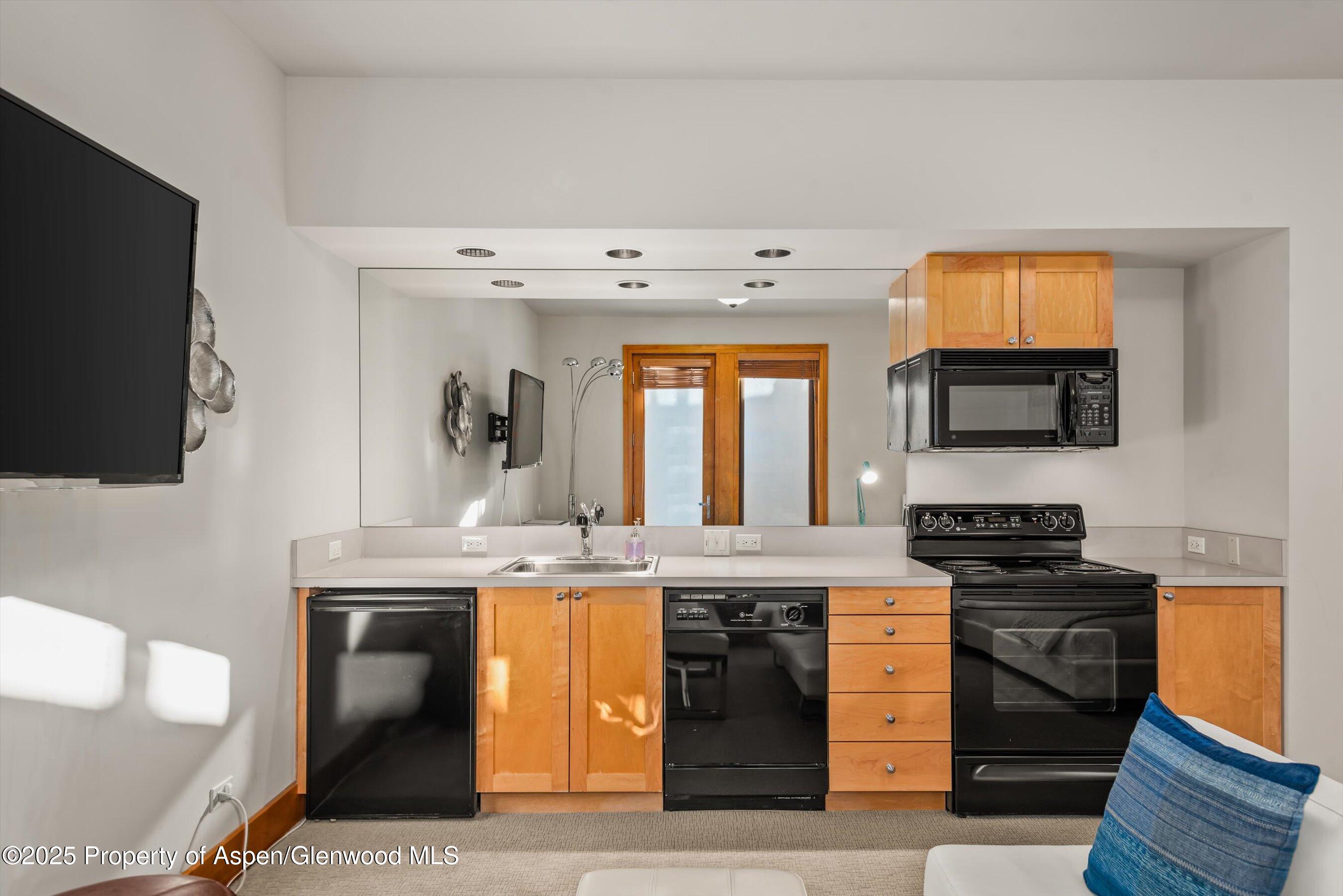 300 Eagle Pines Drive Aspen CO 81611