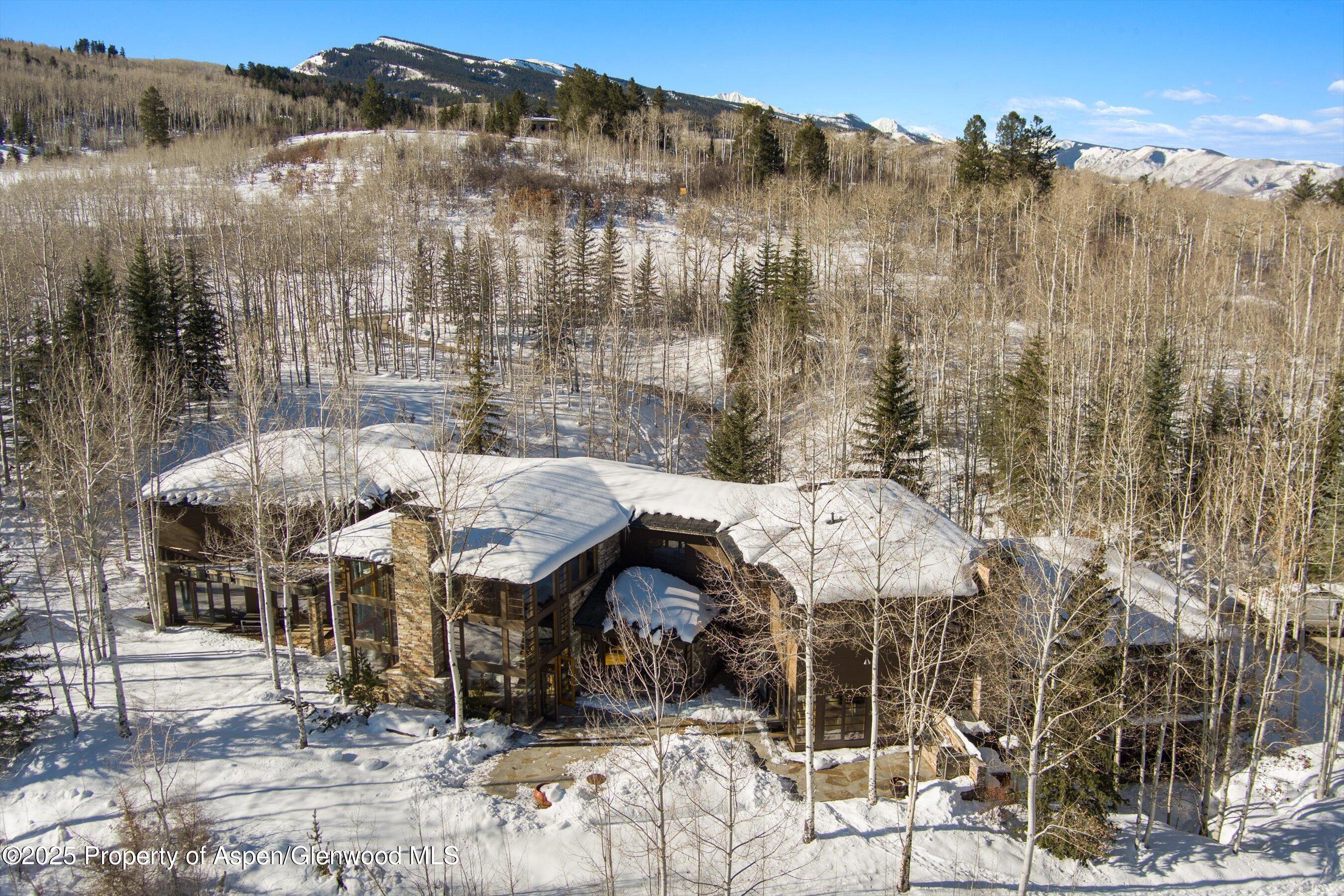 300 Eagle Pines Drive Aspen CO 81611