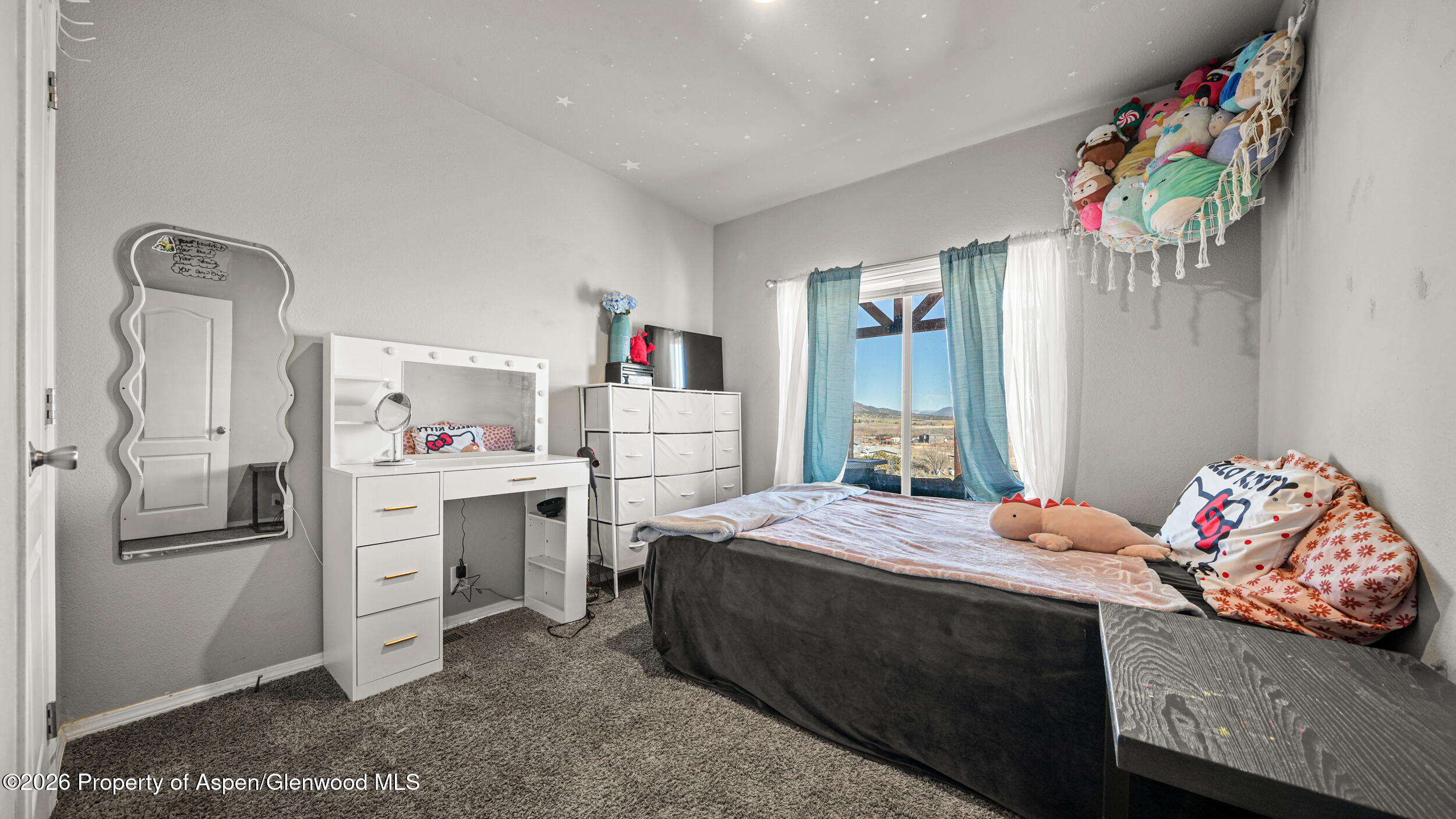 831 County Road 237 Silt CO 81652