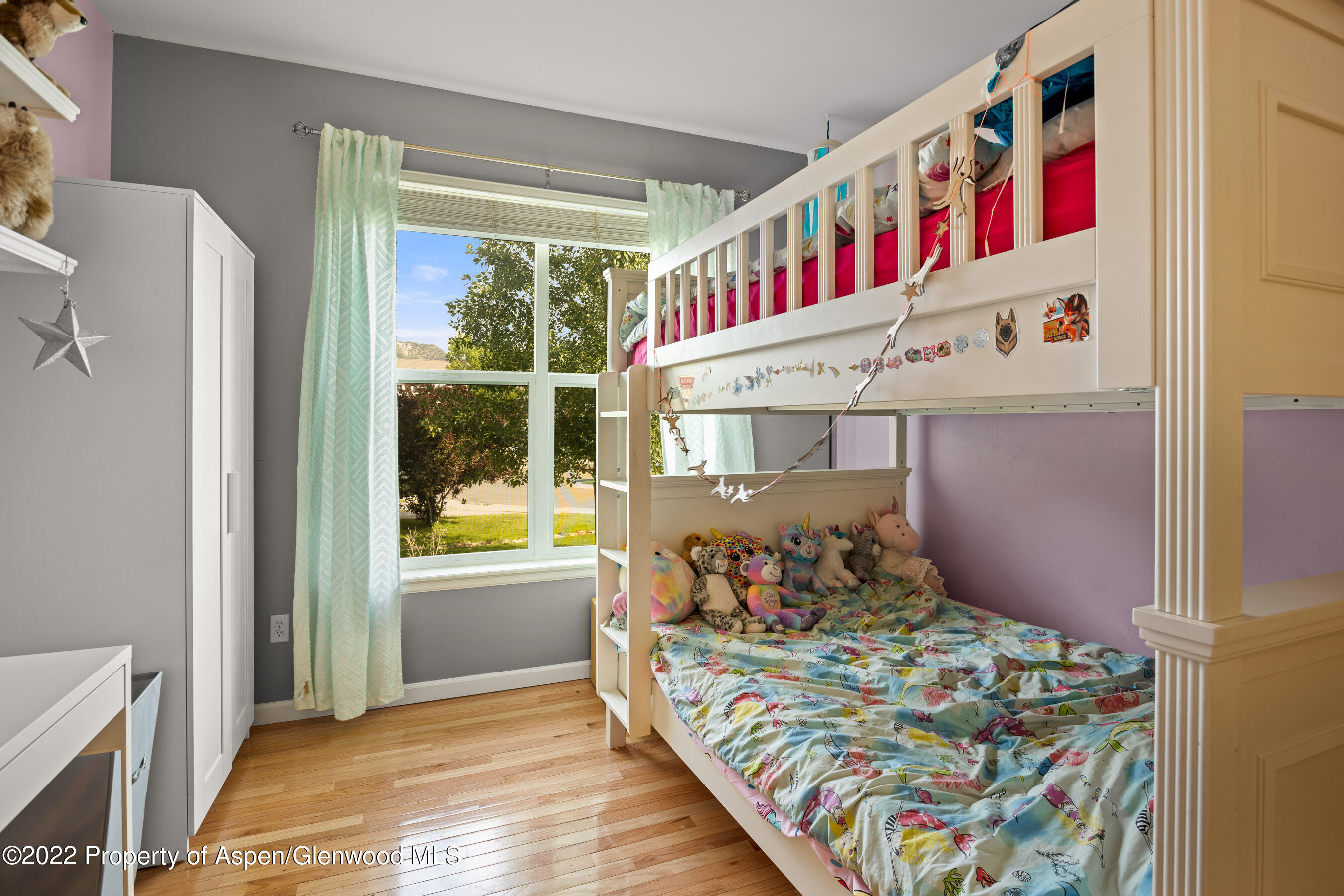 123 Kit Carson Peak Court New Castle CO 81647