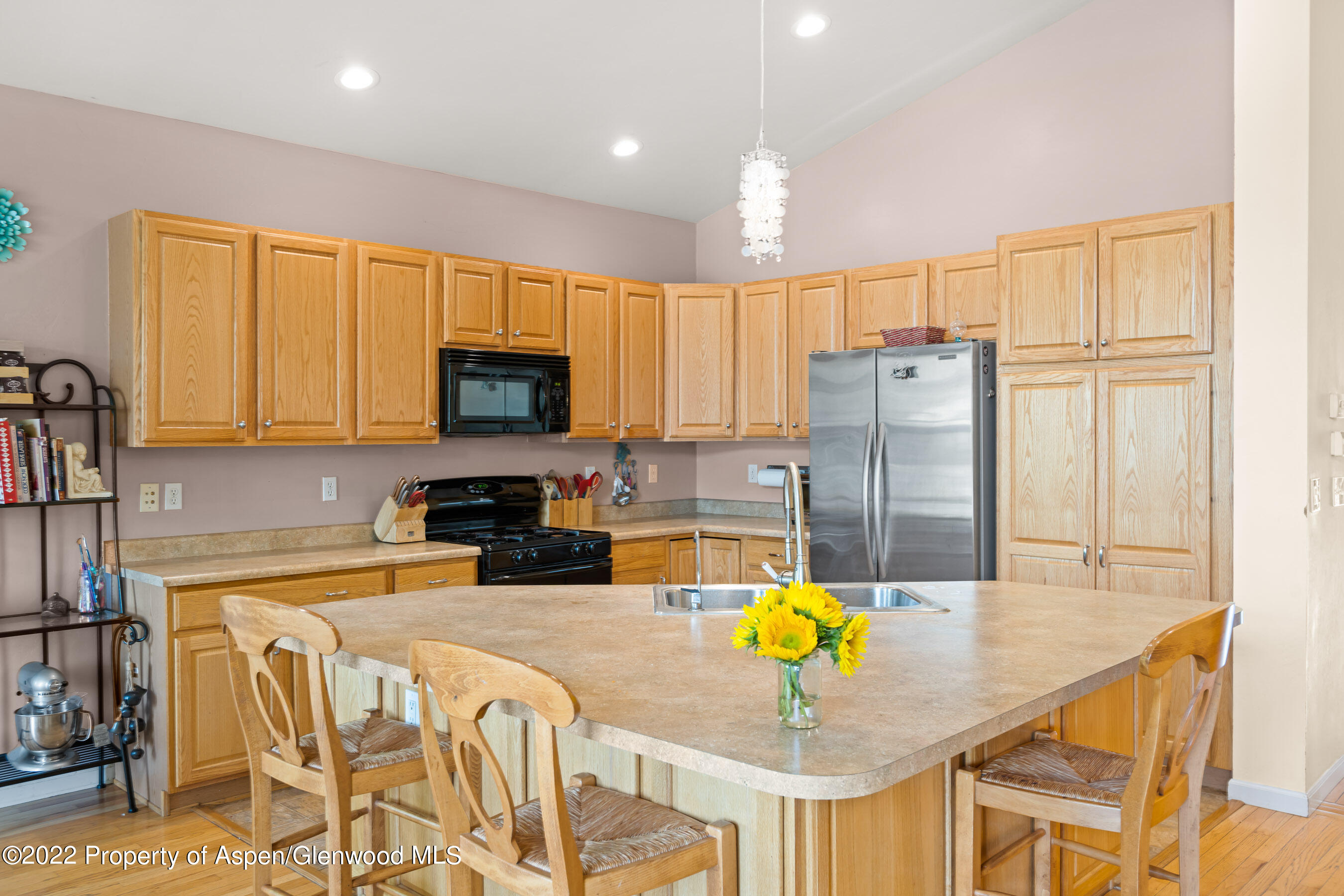 123 Kit Carson Peak Court New Castle CO 81647