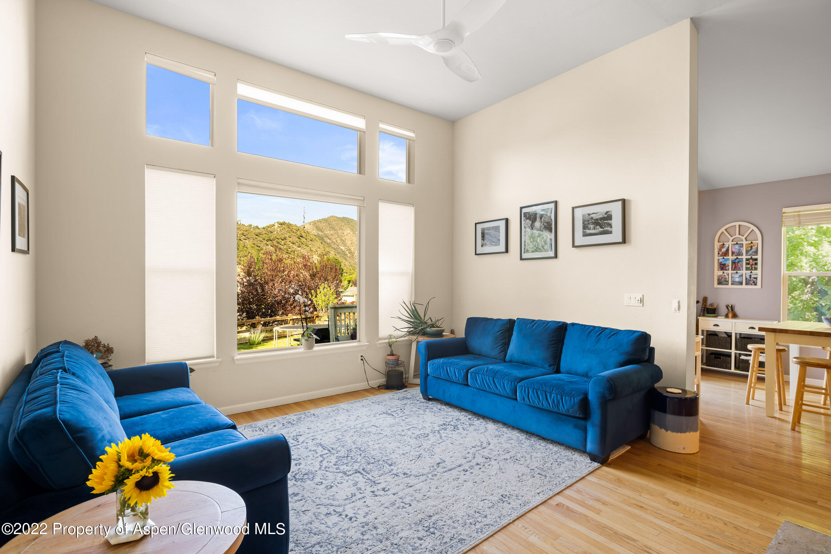 123 Kit Carson Peak Court New Castle CO 81647