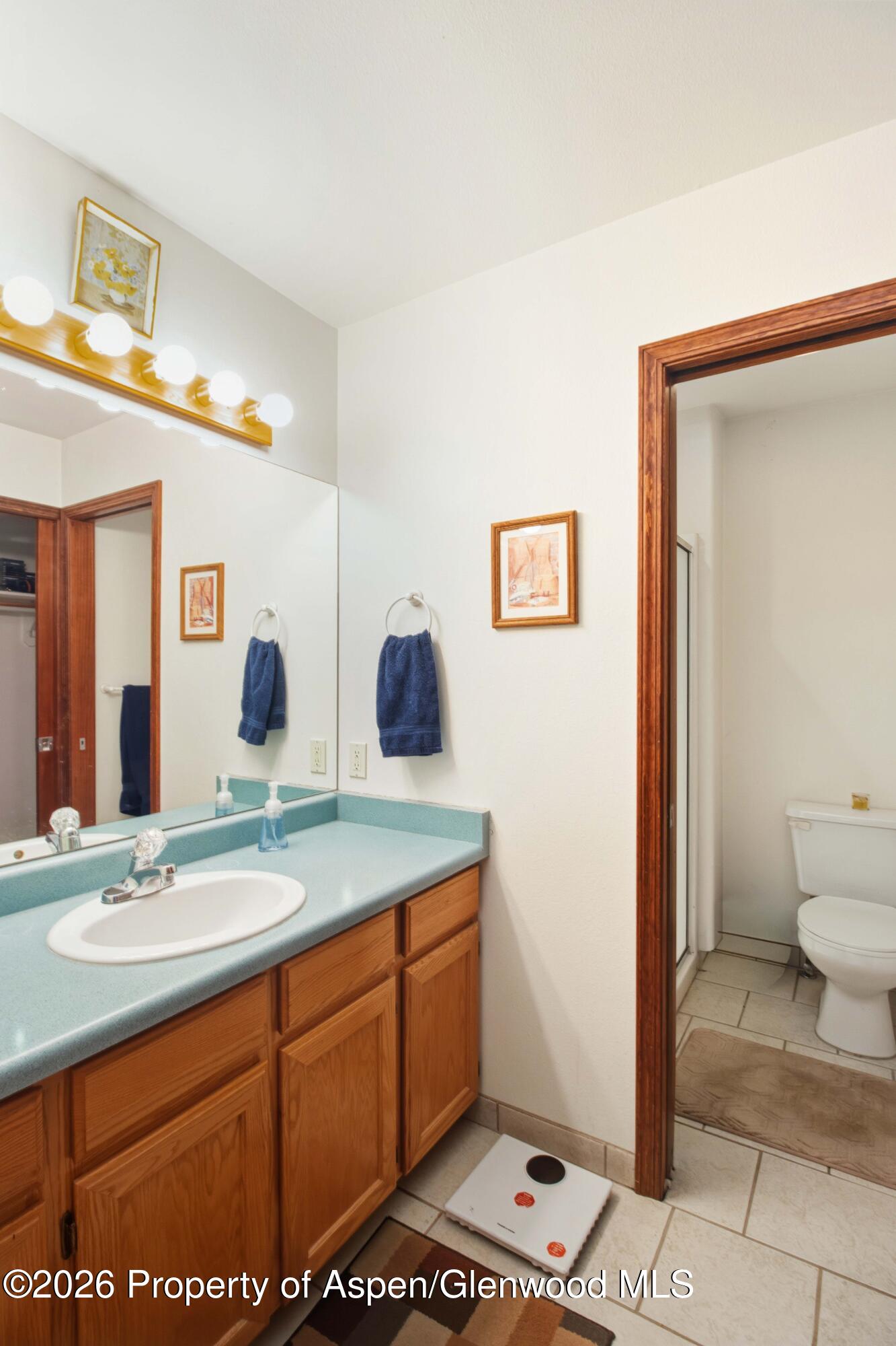 233 Lupine Drive New Castle CO 81647