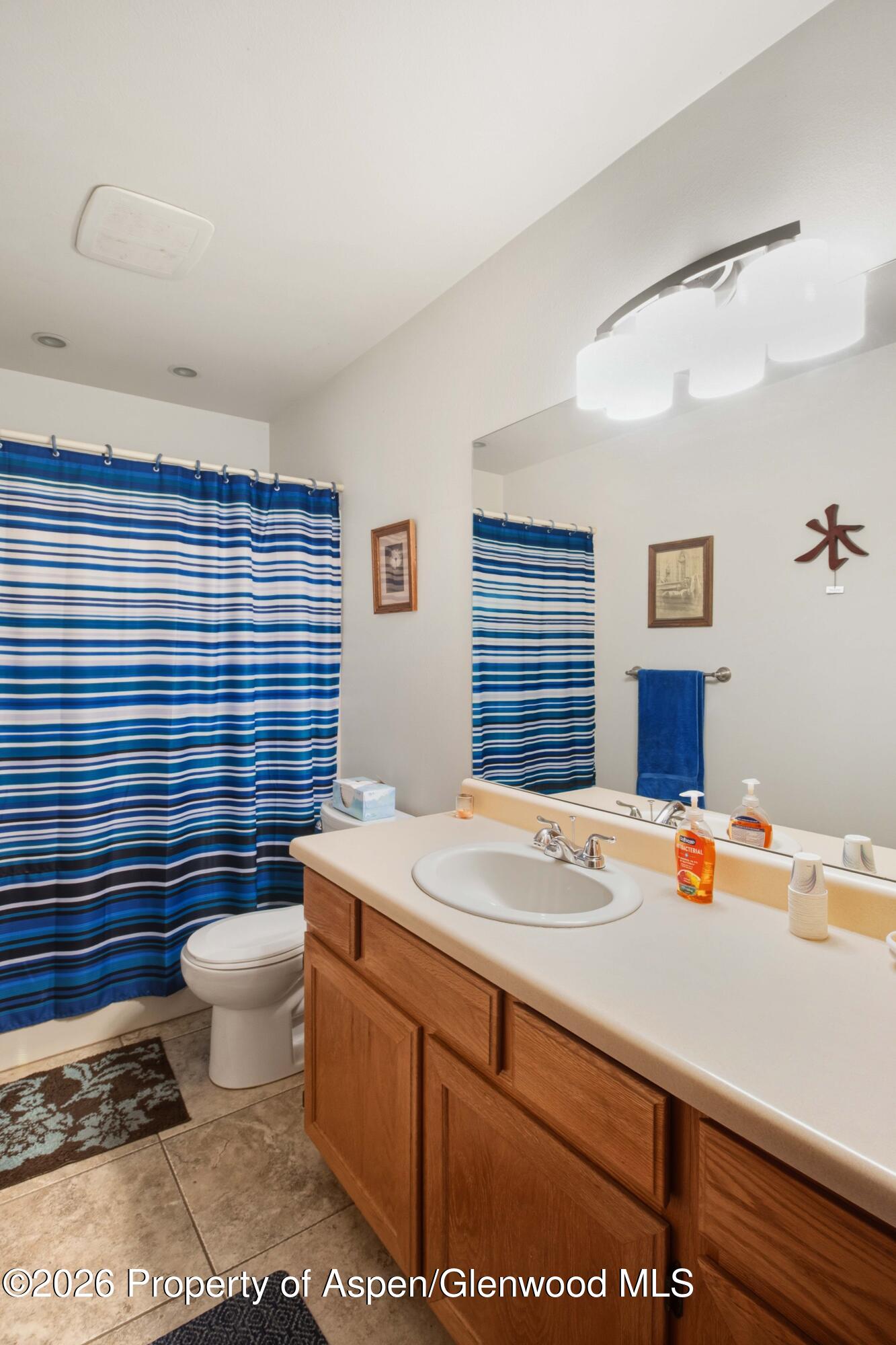 233 Lupine Drive New Castle CO 81647