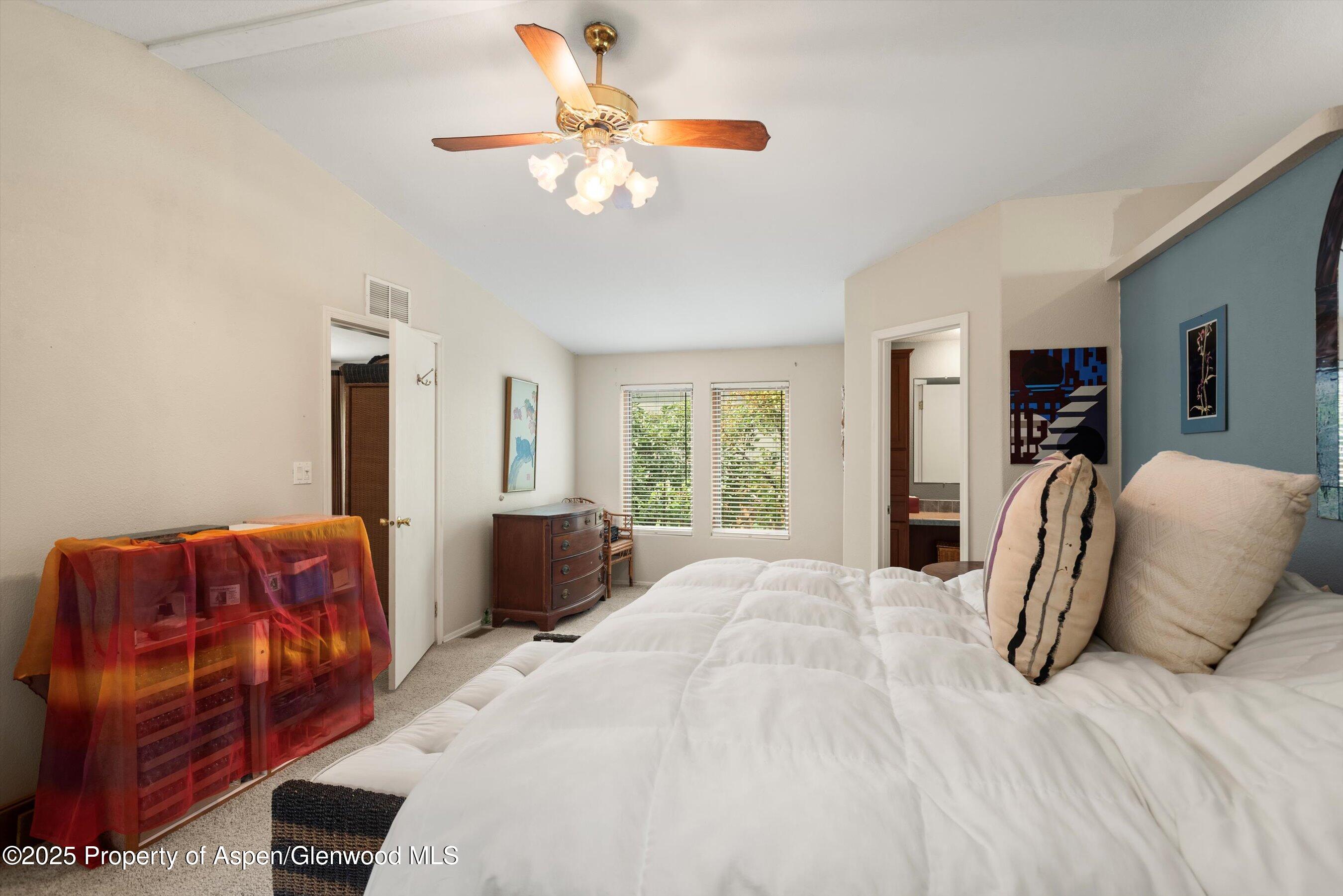 27 Lazy Glen Snowmass CO 81654