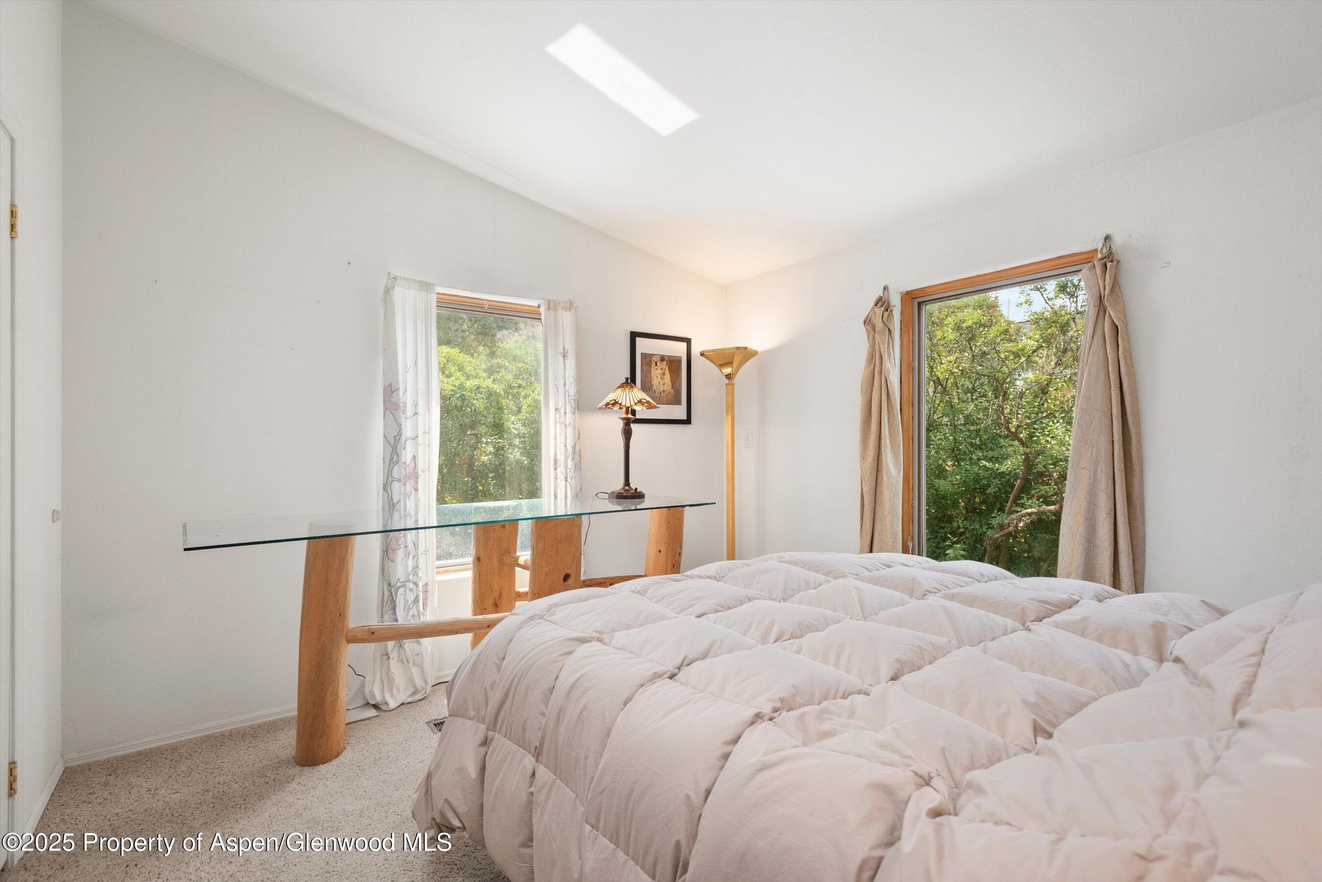 27 Lazy Glen Snowmass CO 81654