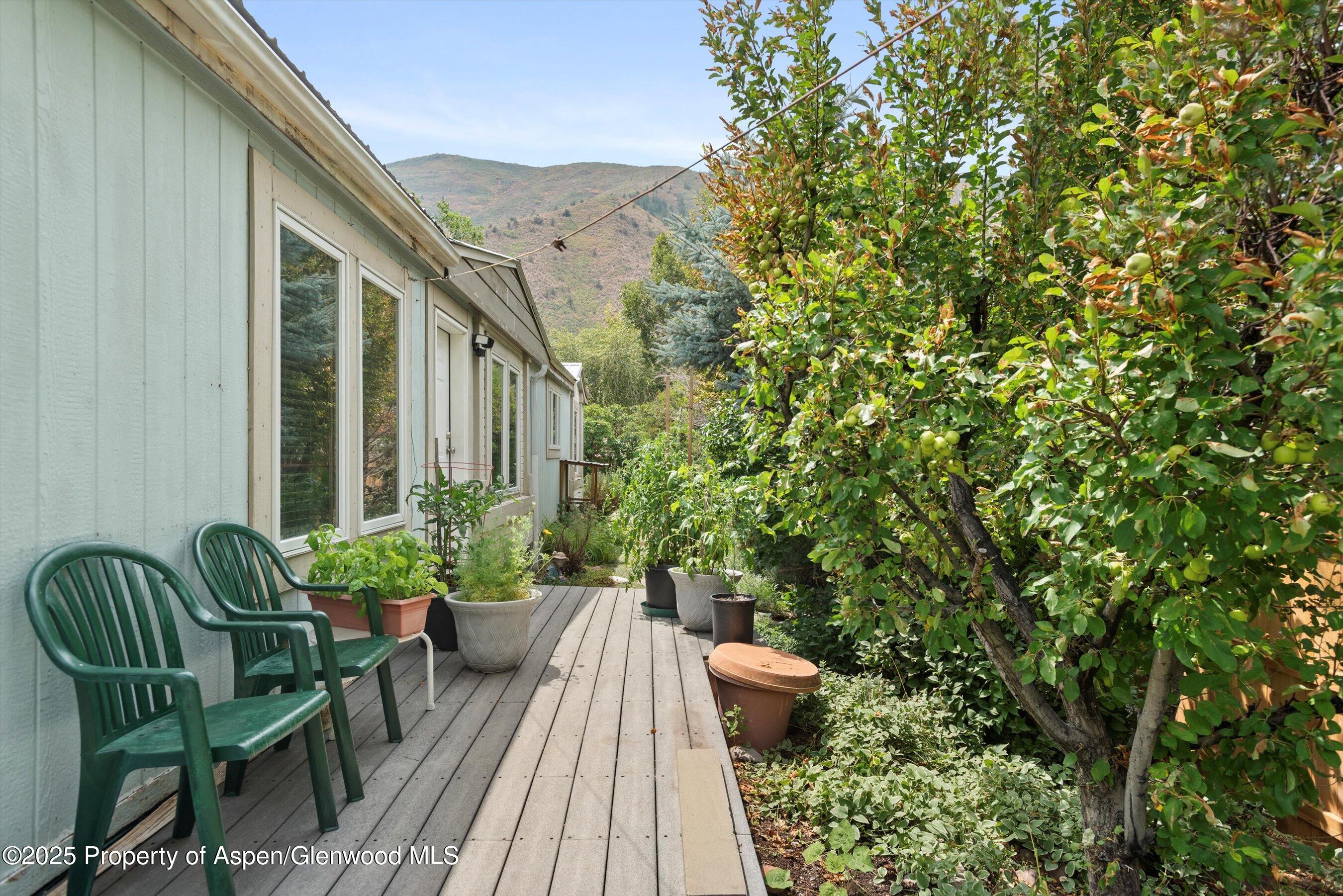 27 Lazy Glen Snowmass CO 81654