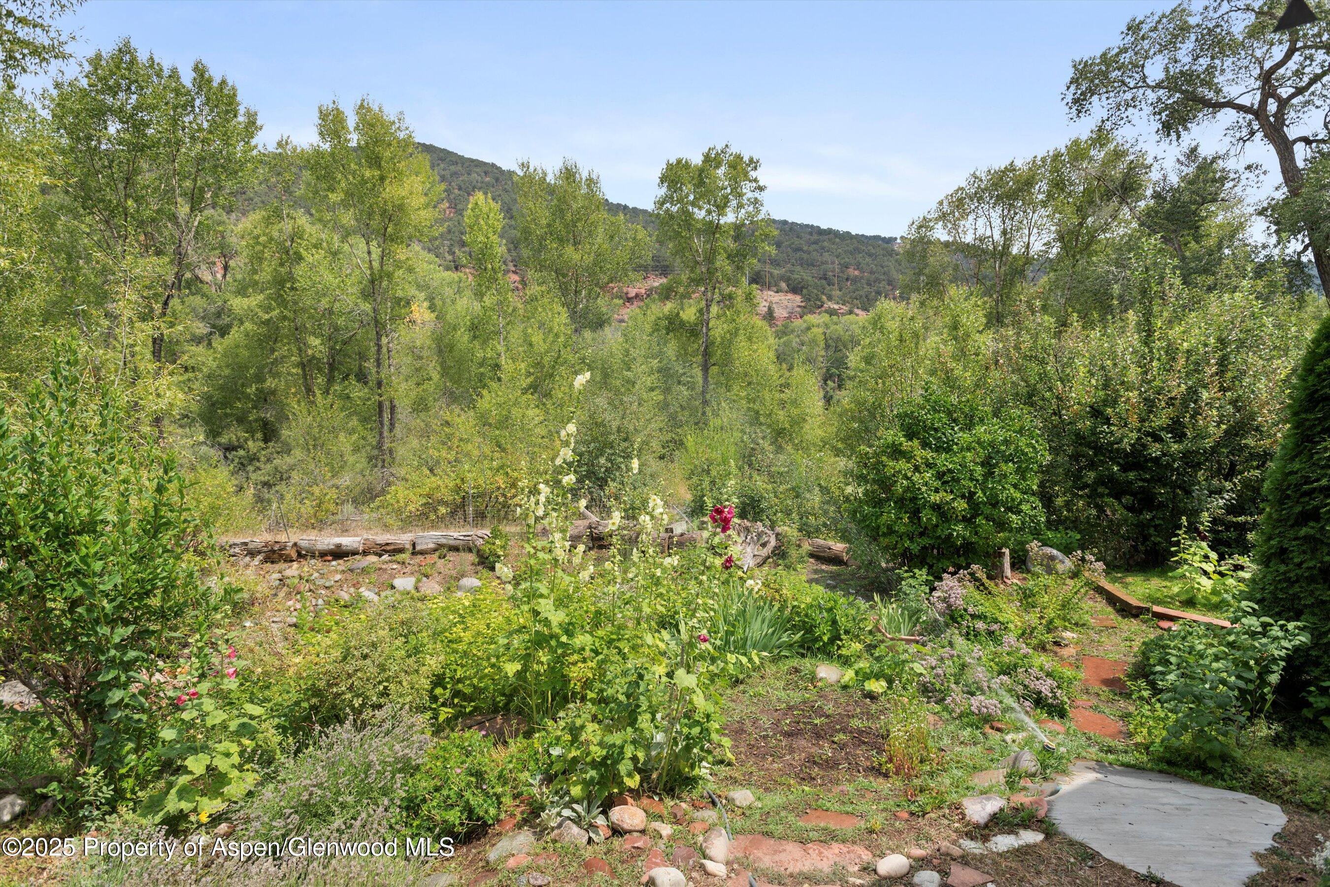 27 Lazy Glen Snowmass CO 81654