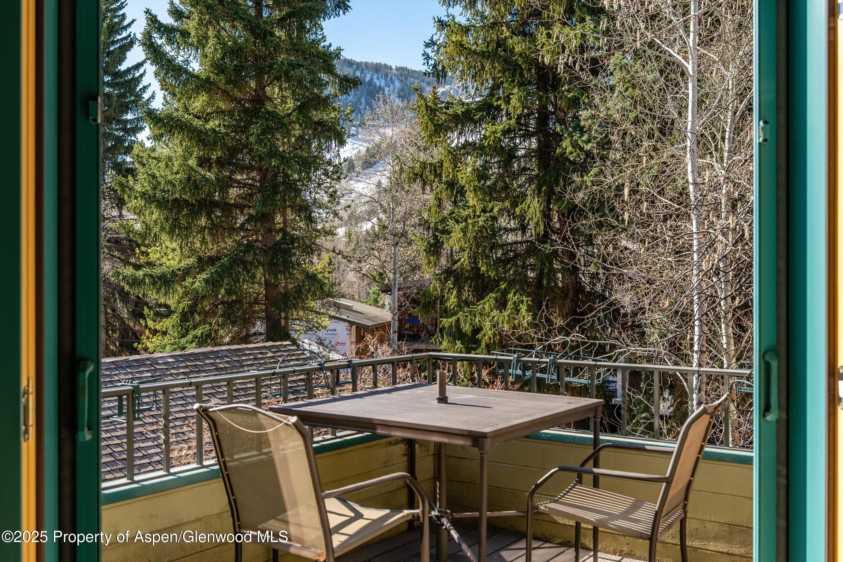 333 W Hopkins Avenue Aspen CO 81611