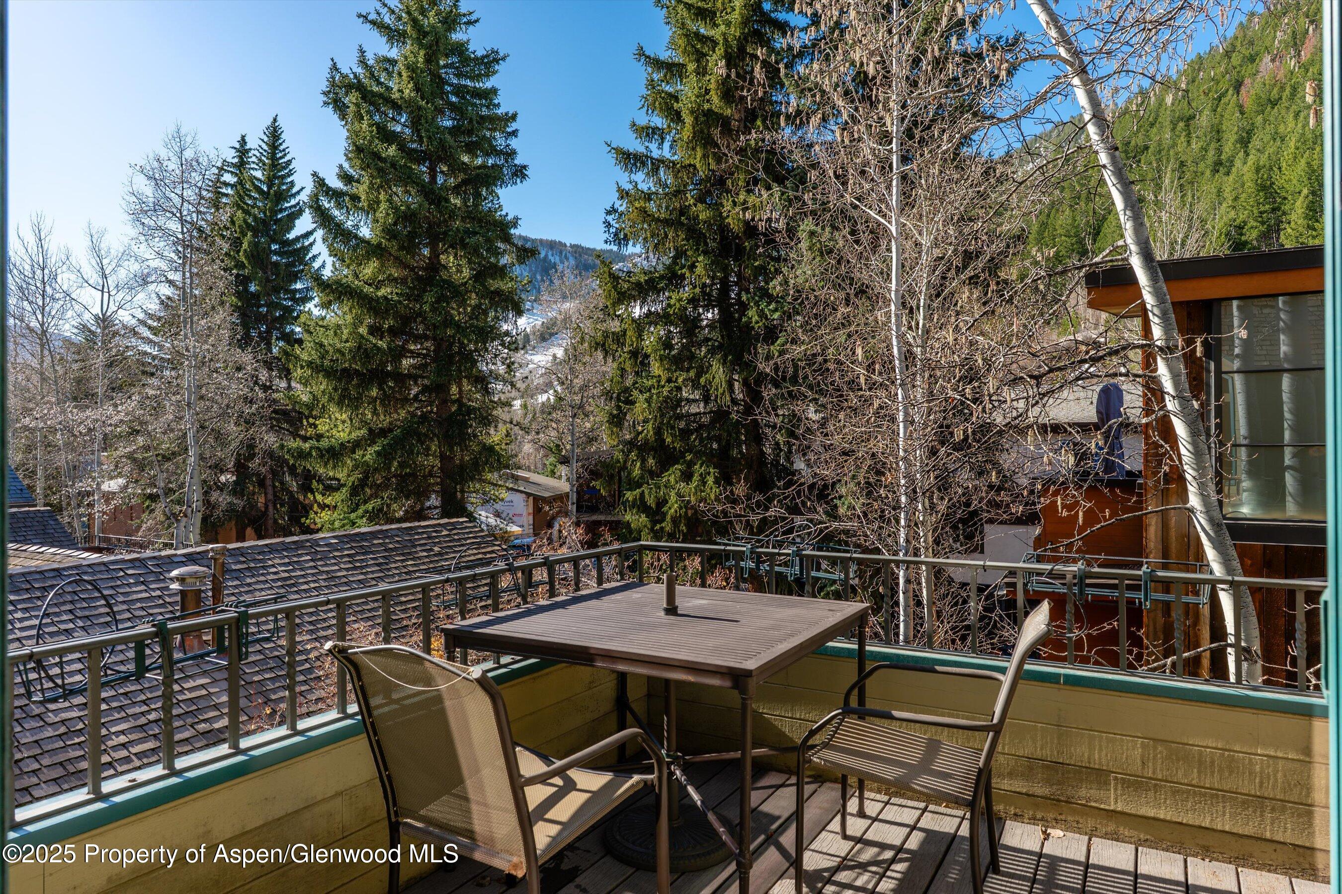 333 W Hopkins Avenue Aspen CO 81611