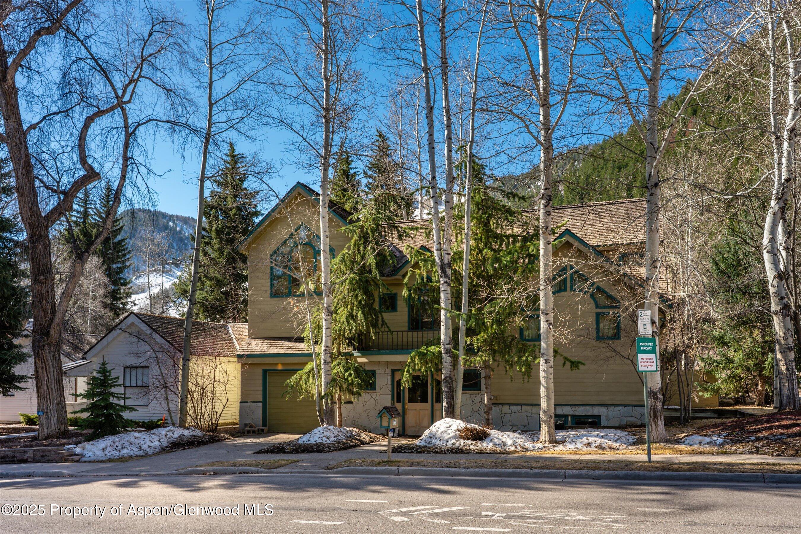 333 W Hopkins Avenue Aspen CO 81611
