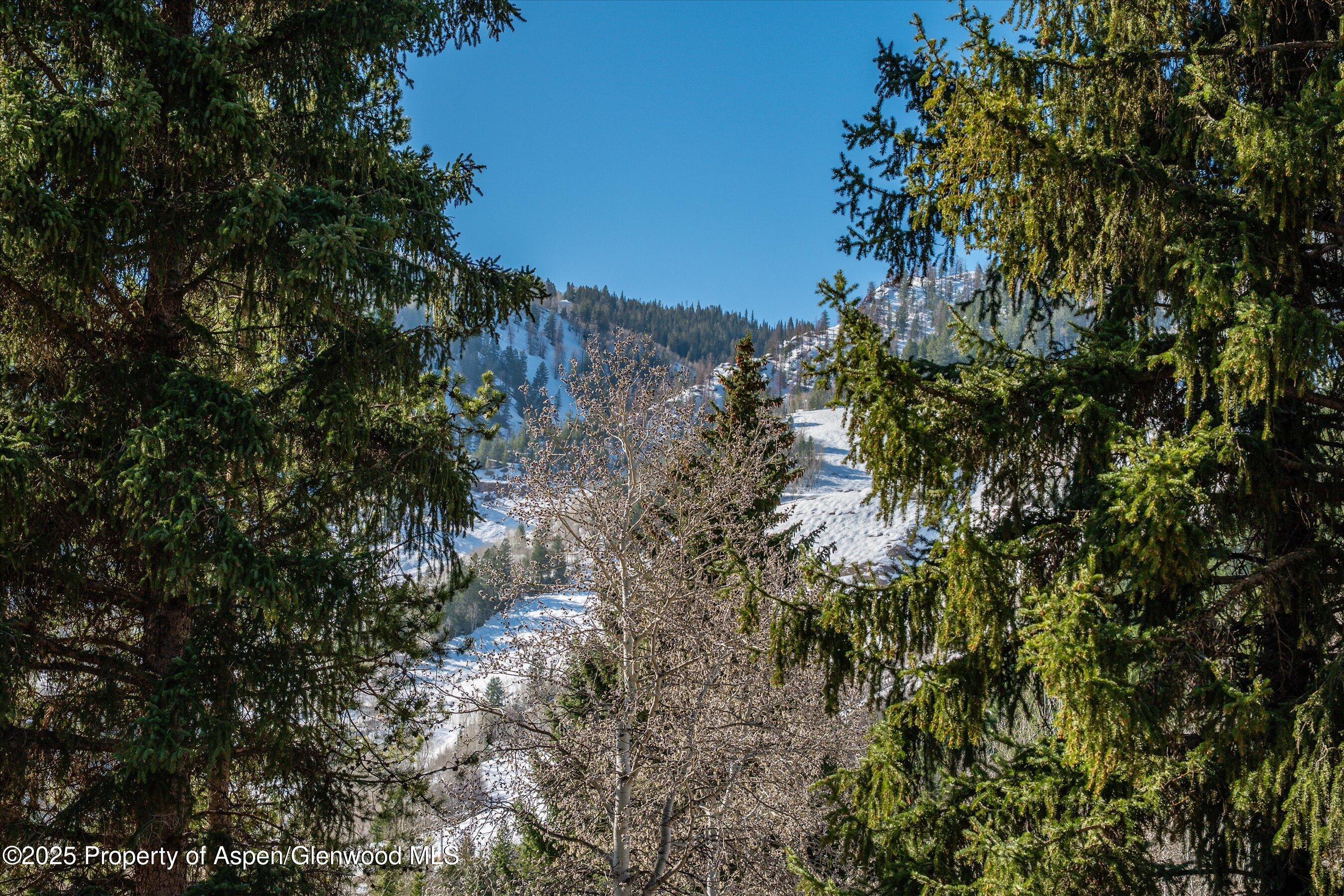 333 W Hopkins Avenue Aspen CO 81611