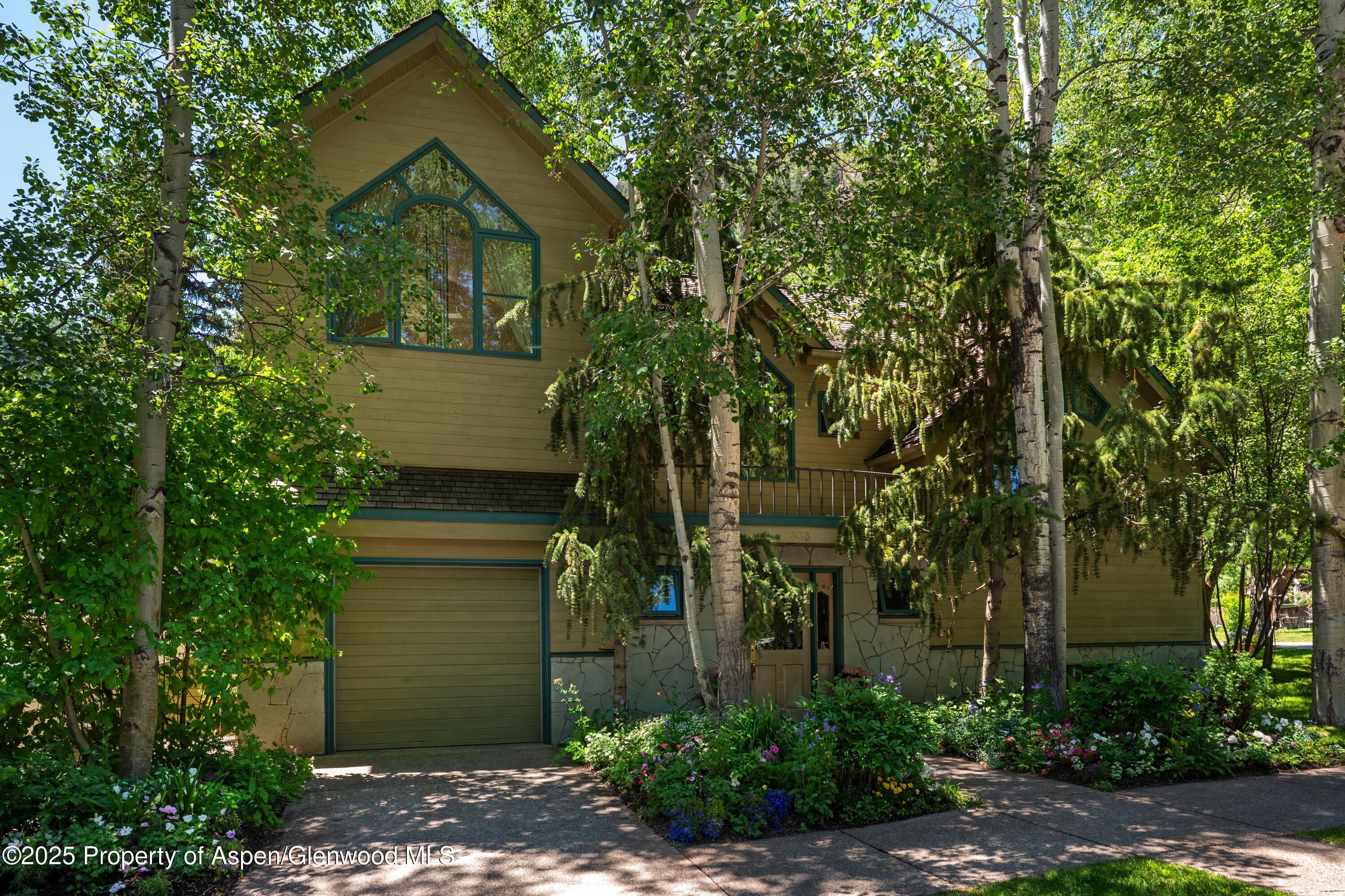 333 W Hopkins Avenue Aspen CO 81611