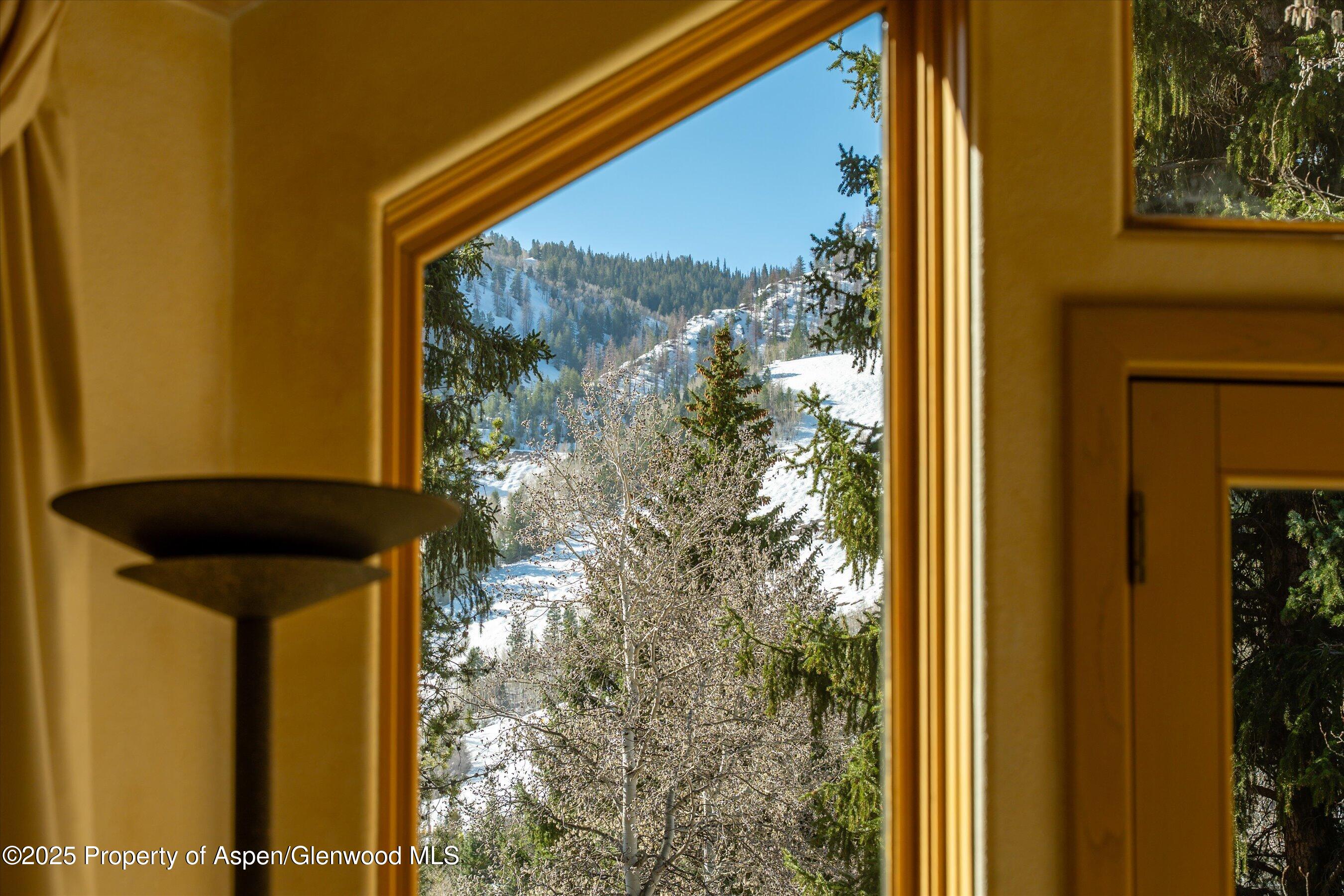 333 W Hopkins Avenue Aspen CO 81611