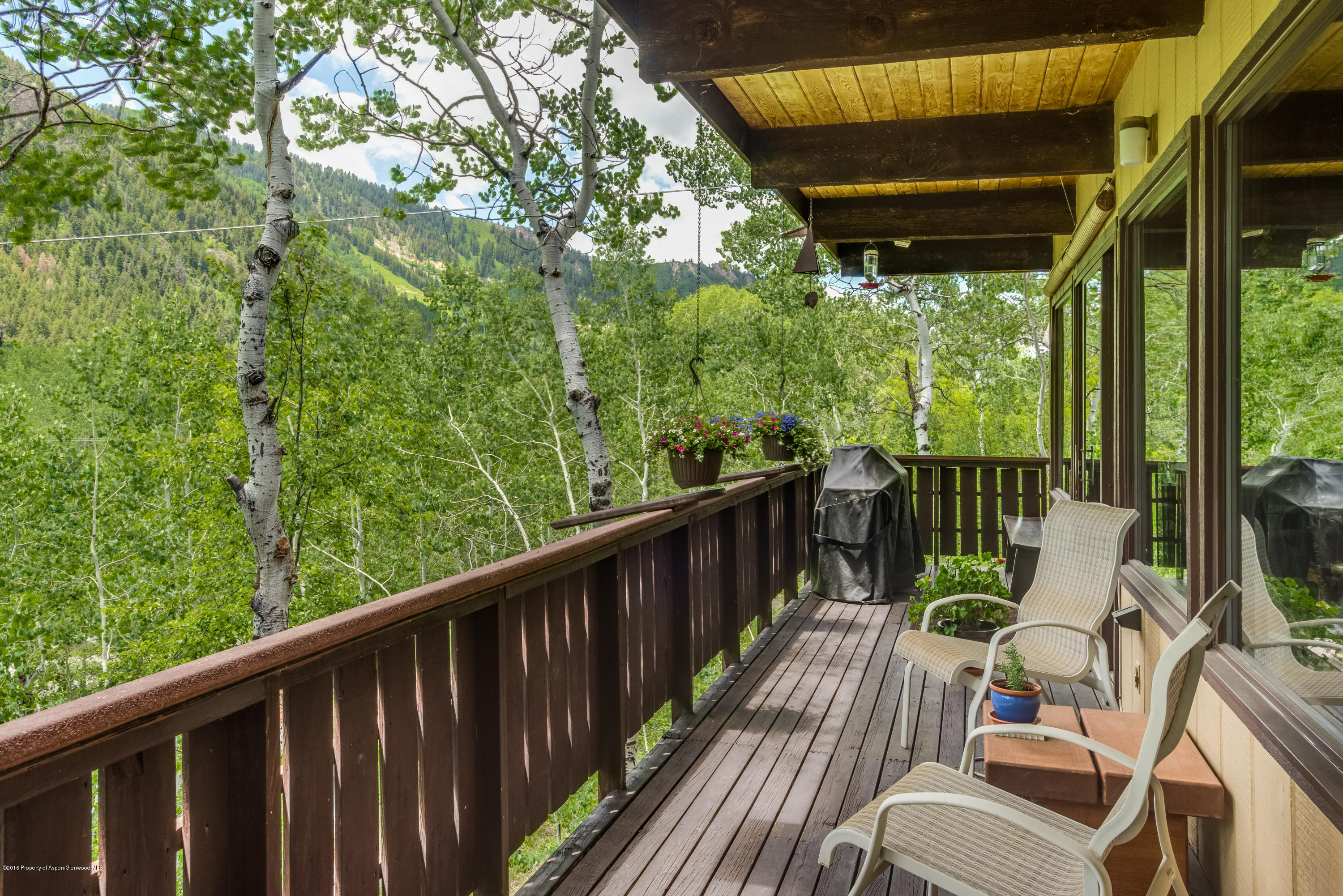 284 Eastwood Drive Aspen CO 81611