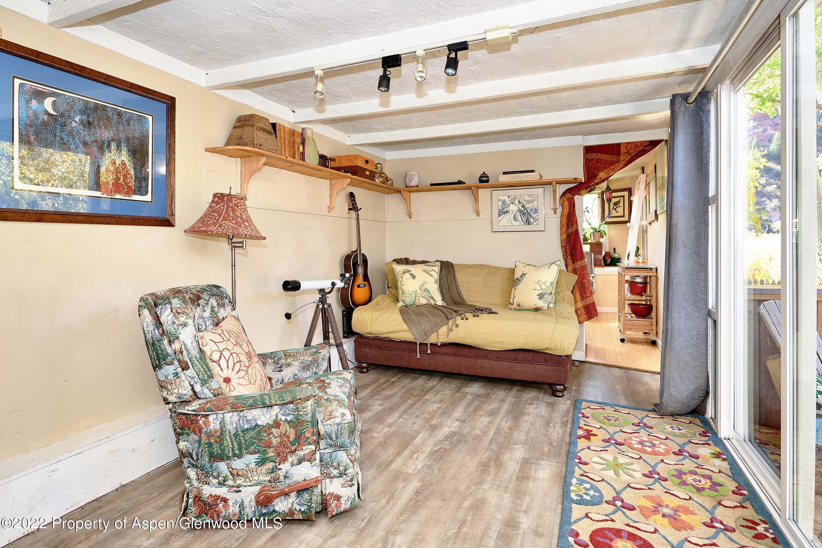 29 Phillips Hillside Snowmass CO 81654