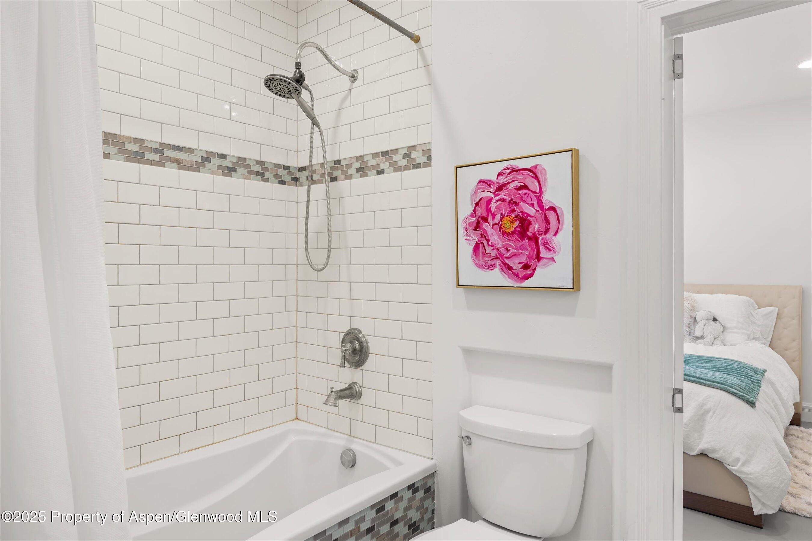 55 Bear Trail Aspen CO 81611