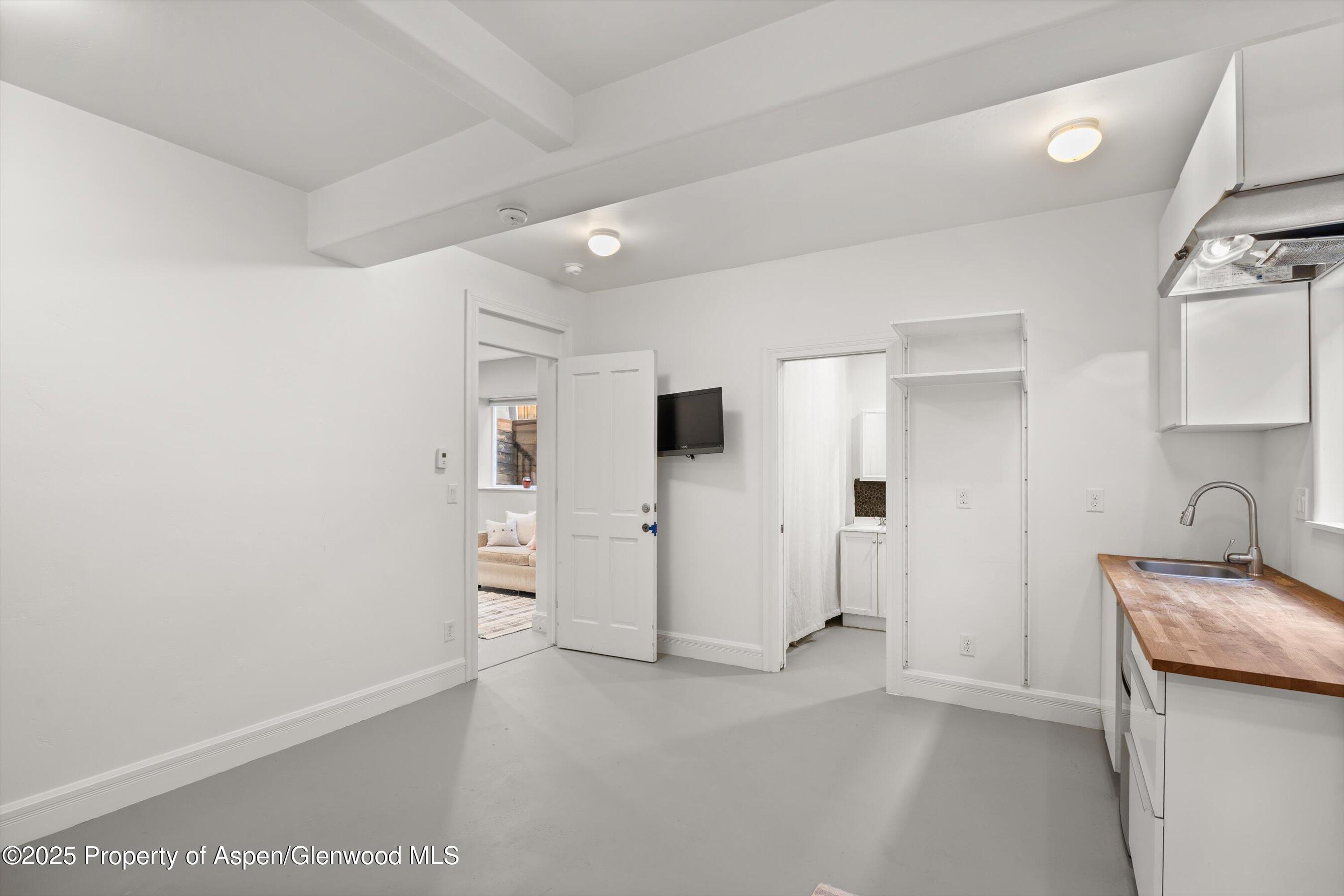 55 Bear Trail Aspen CO 81611