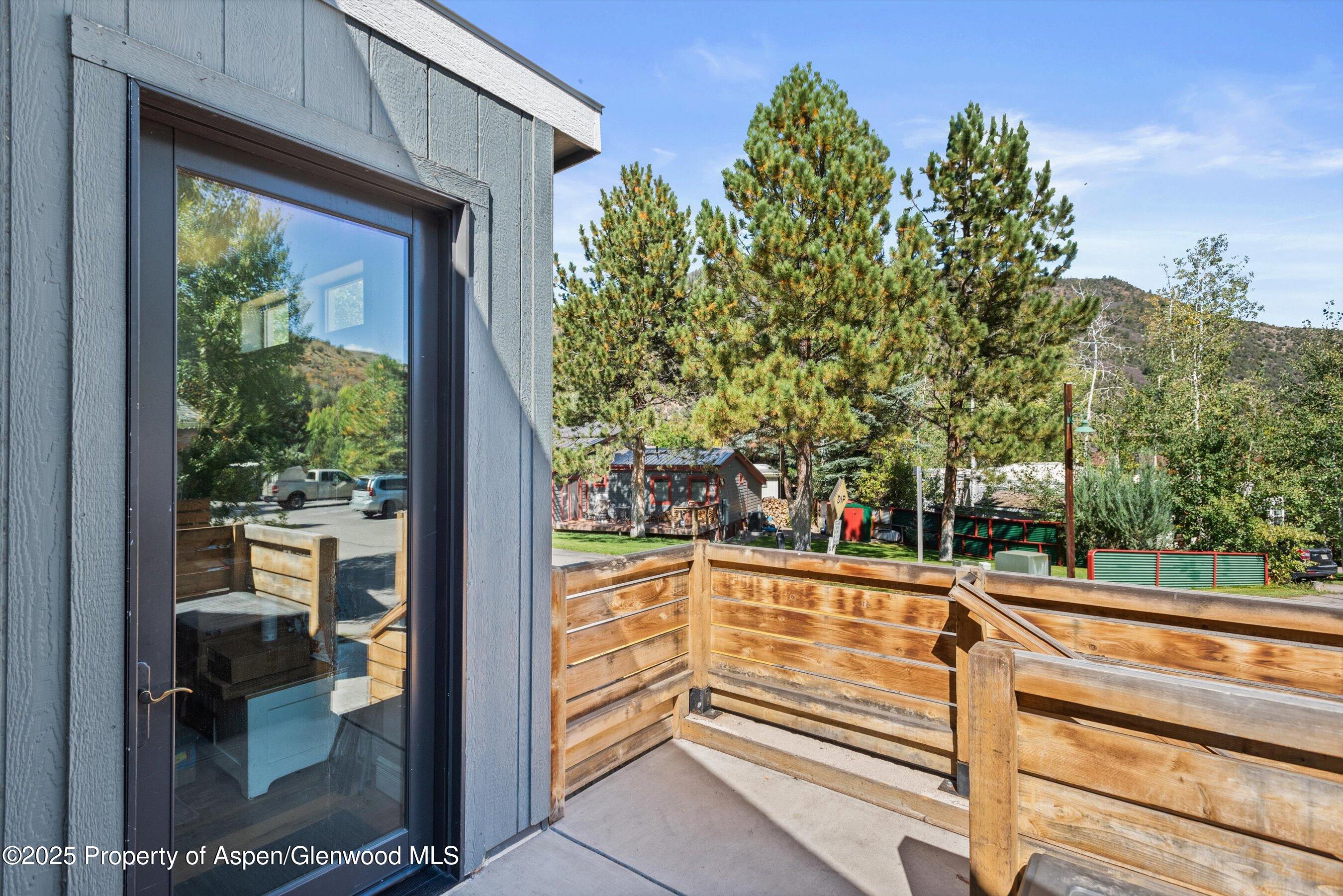 55 Bear Trail Aspen CO 81611