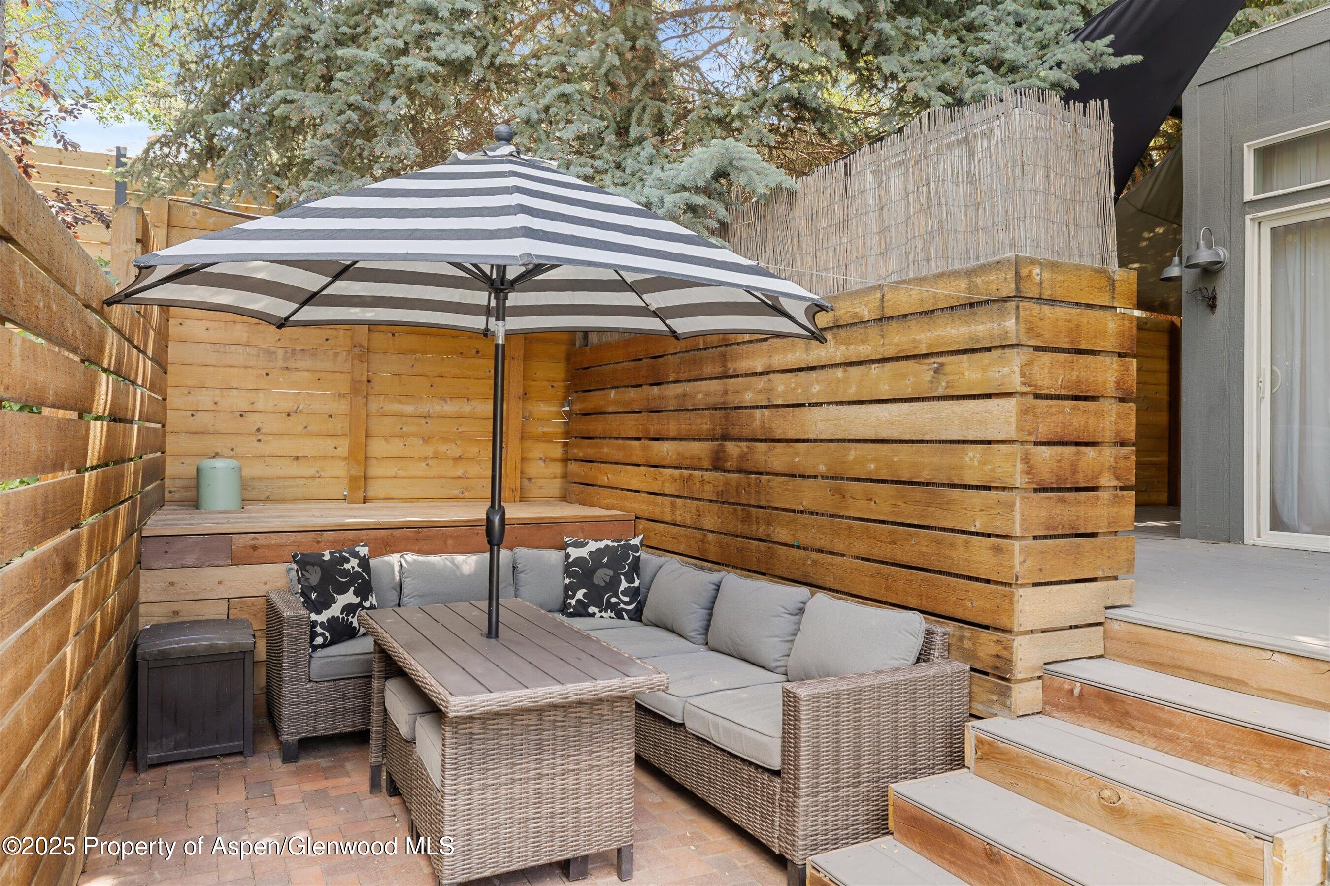 55 Bear Trail Aspen CO 81611