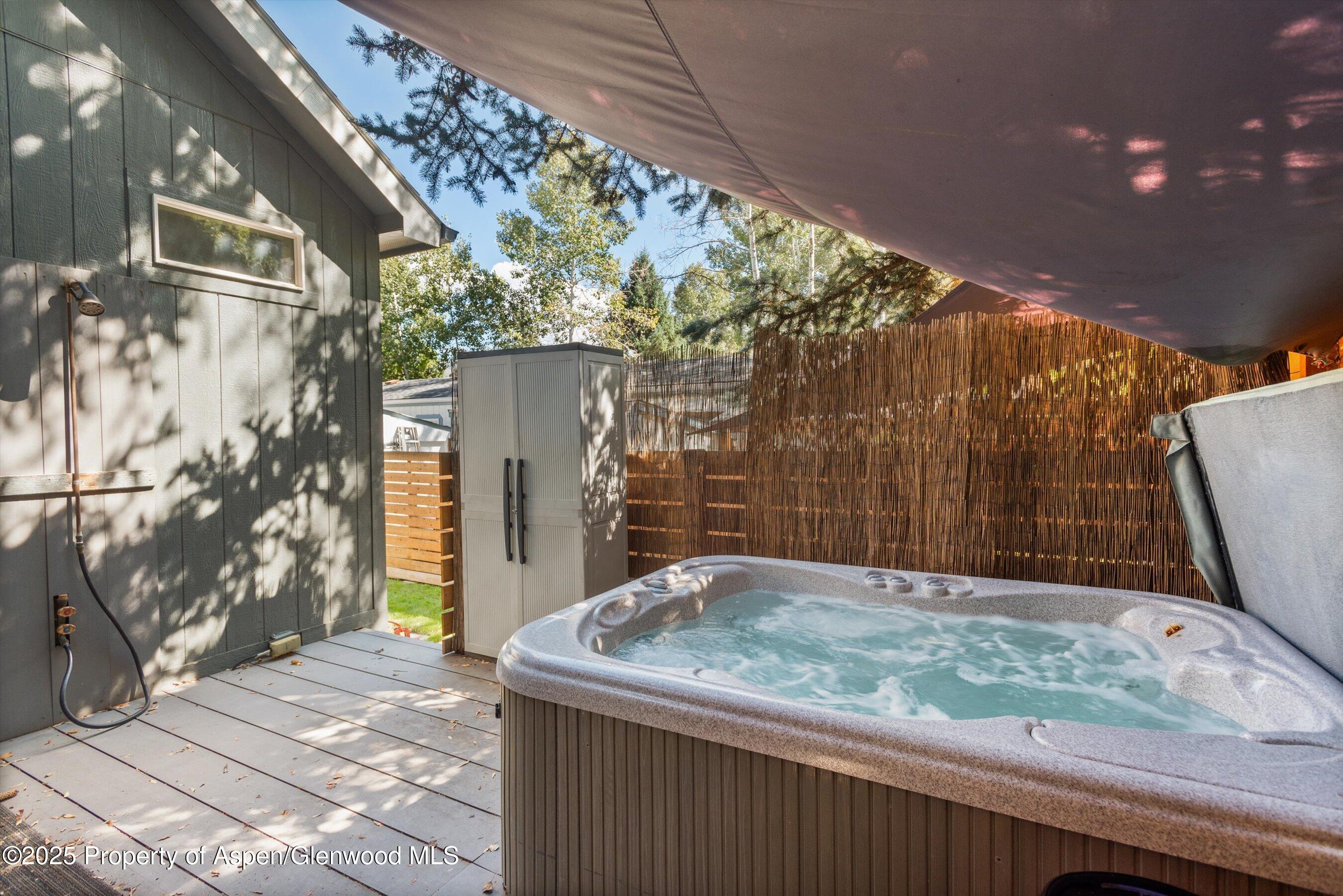 55 Bear Trail Aspen CO 81611