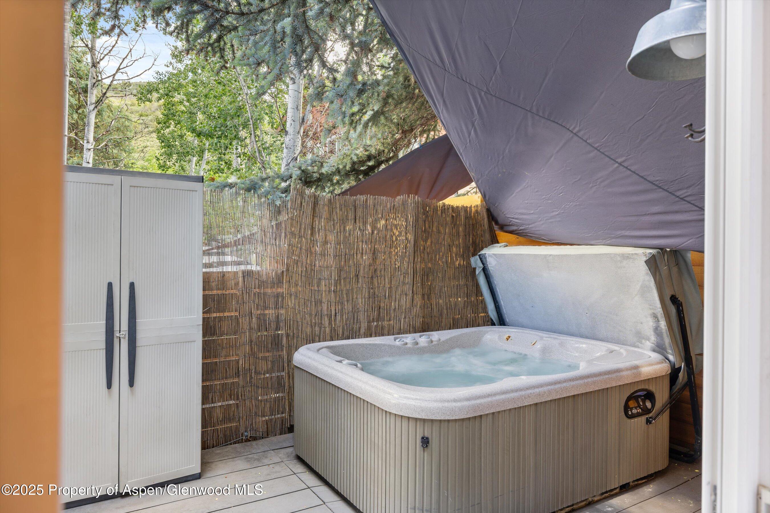 55 Bear Trail Aspen CO 81611