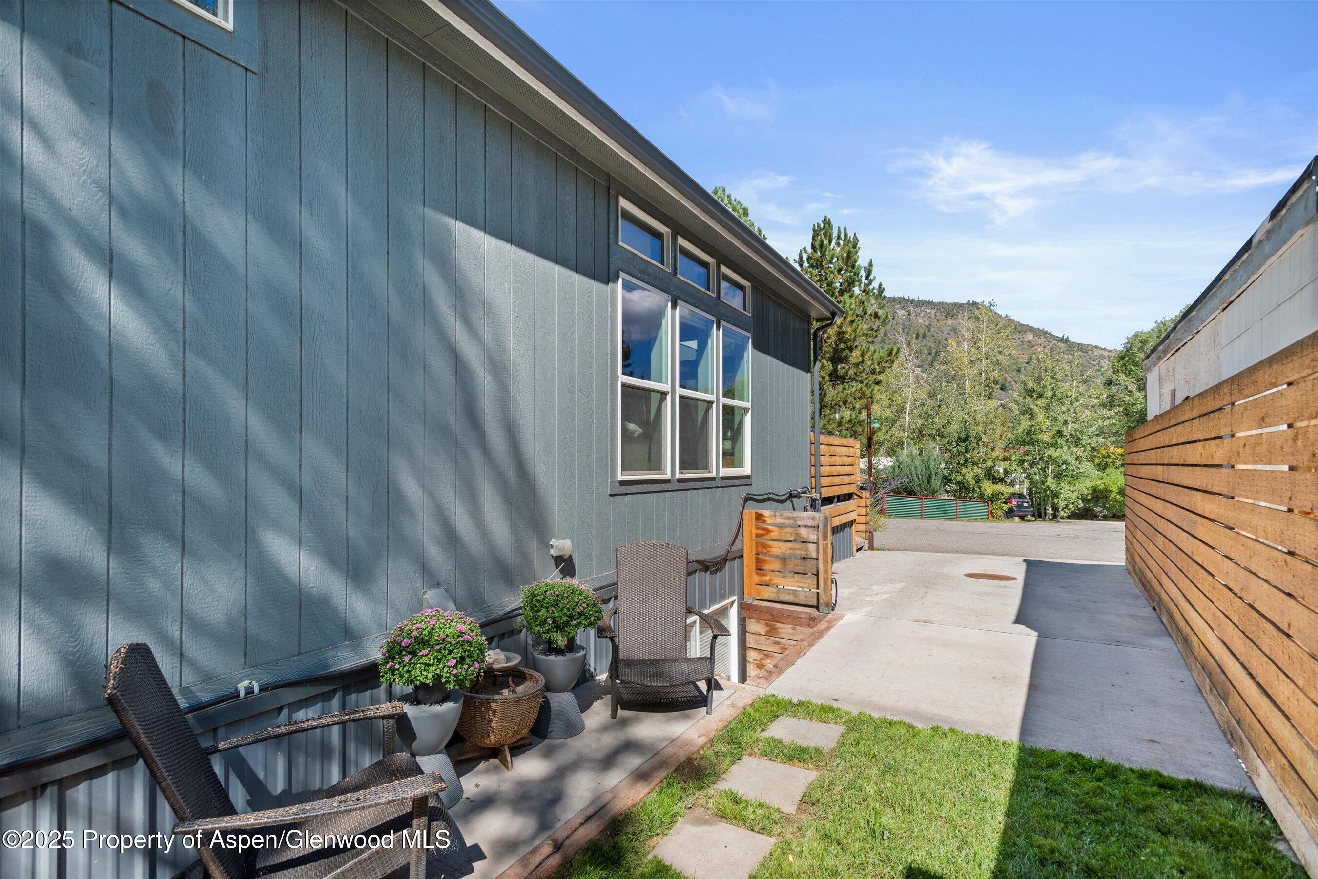 55 Bear Trail Aspen CO 81611
