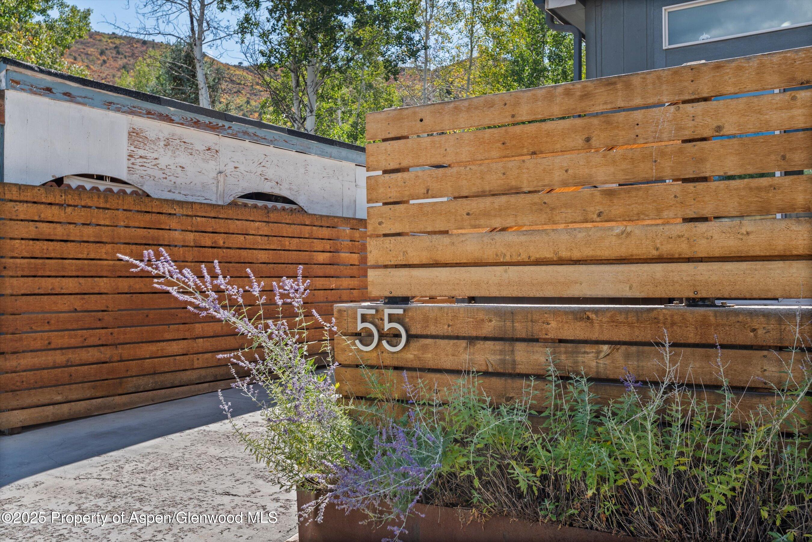 55 Bear Trail Aspen CO 81611