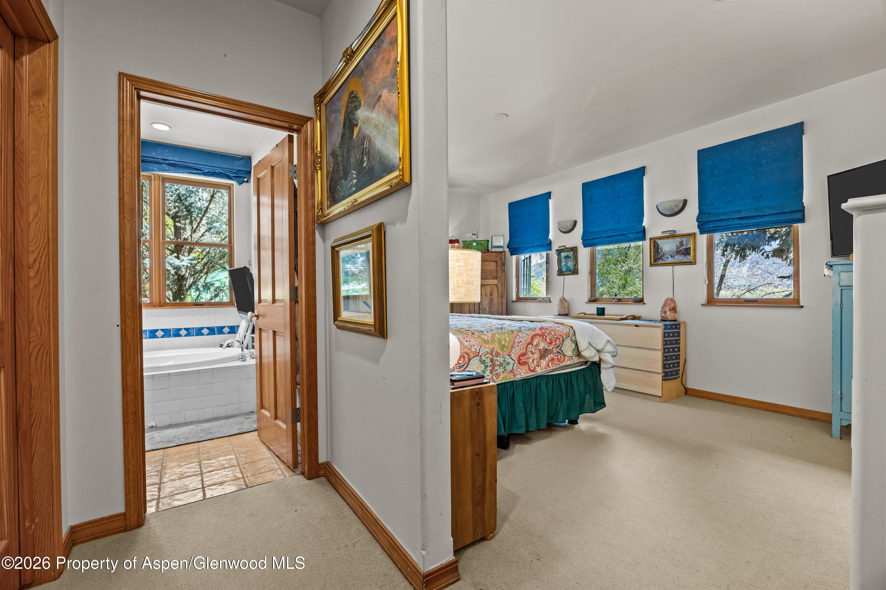 307 E Sopris Drive Basalt CO 81621