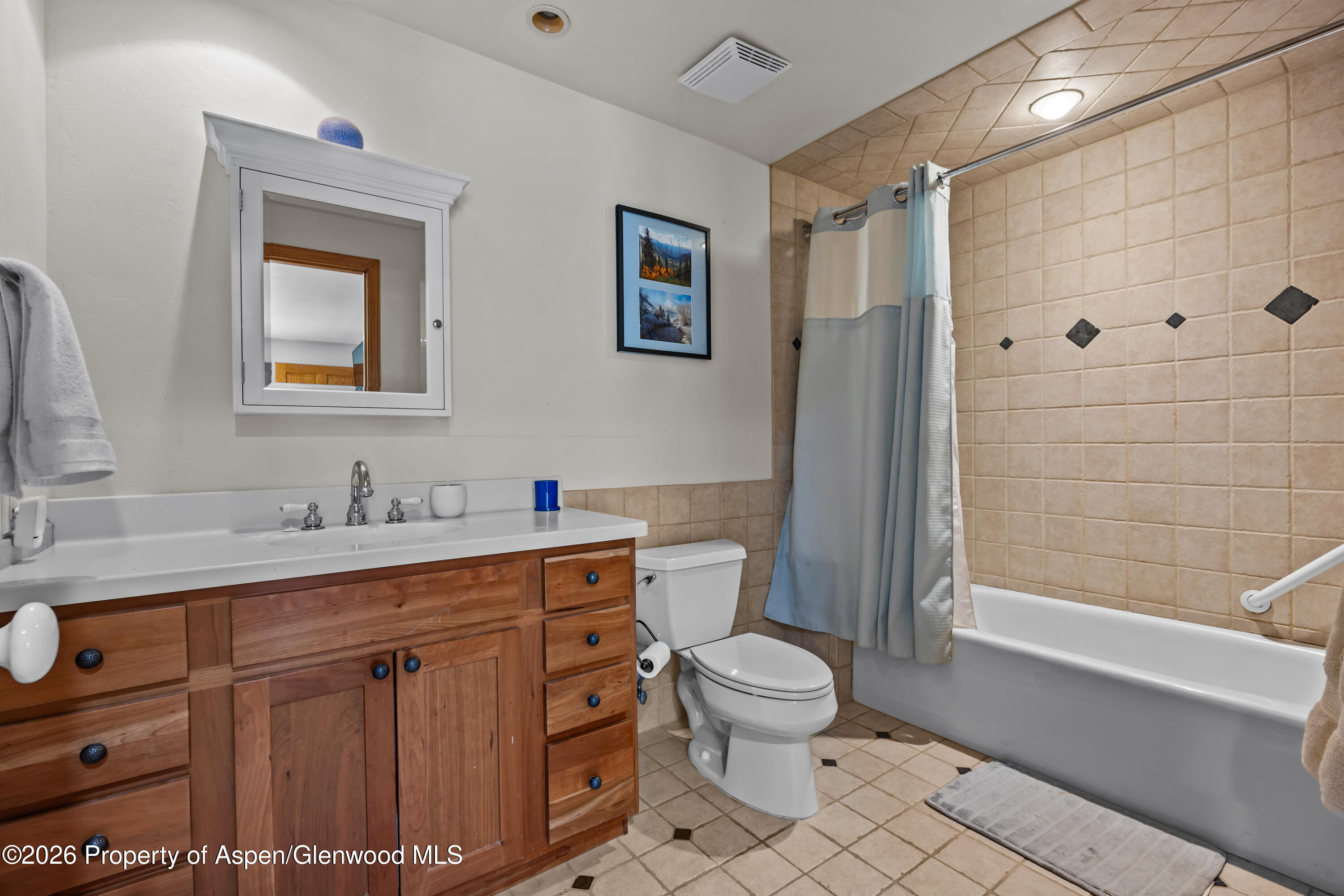 307 E Sopris Drive Basalt CO 81621